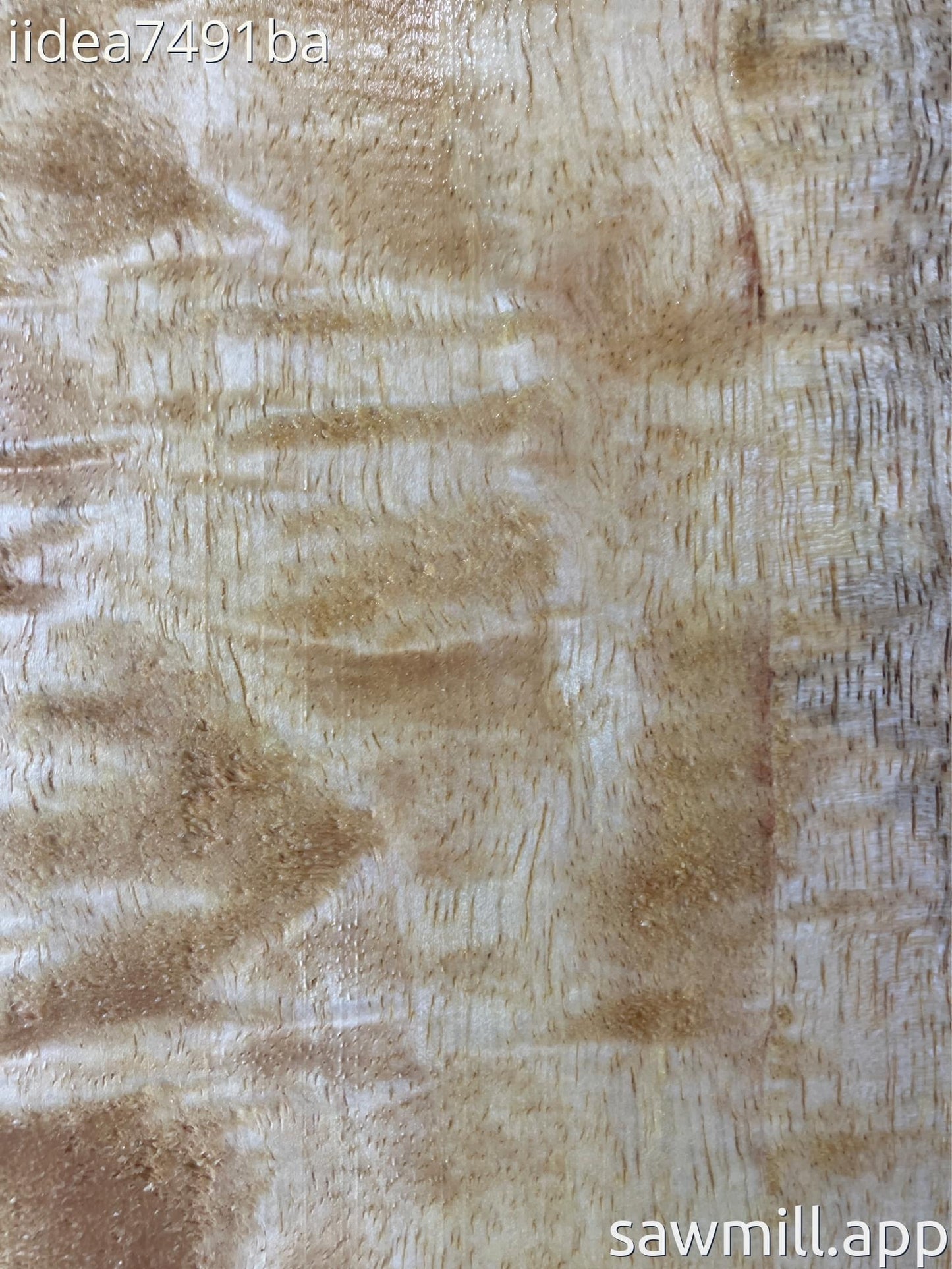 1" x 51" x 5" Mango