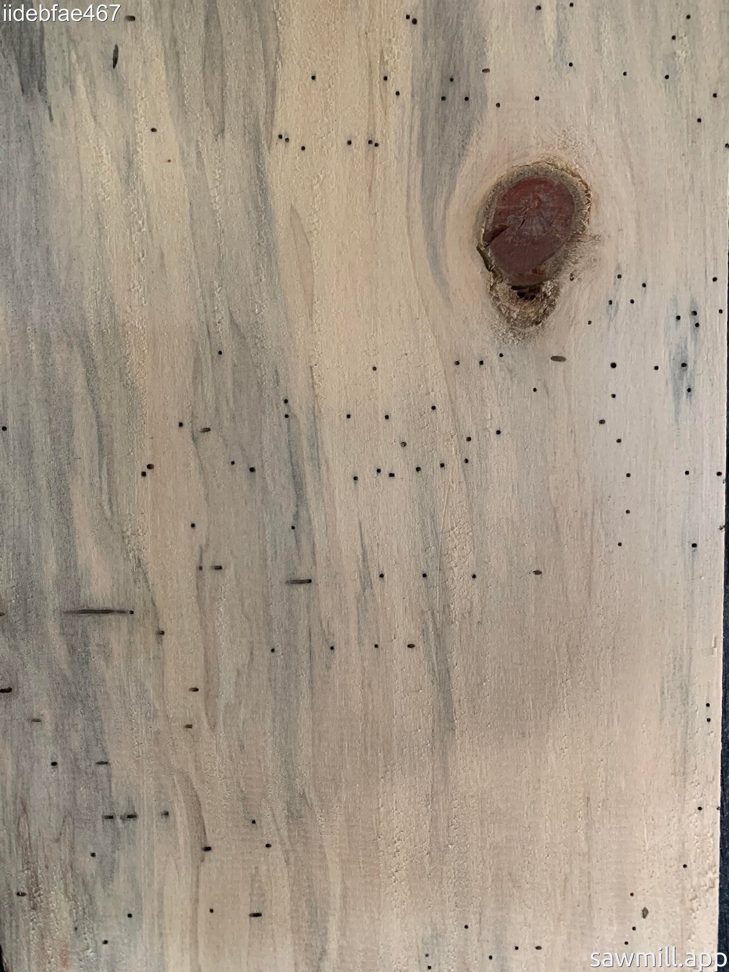 1" x 7" x 73" Norfolk Pine