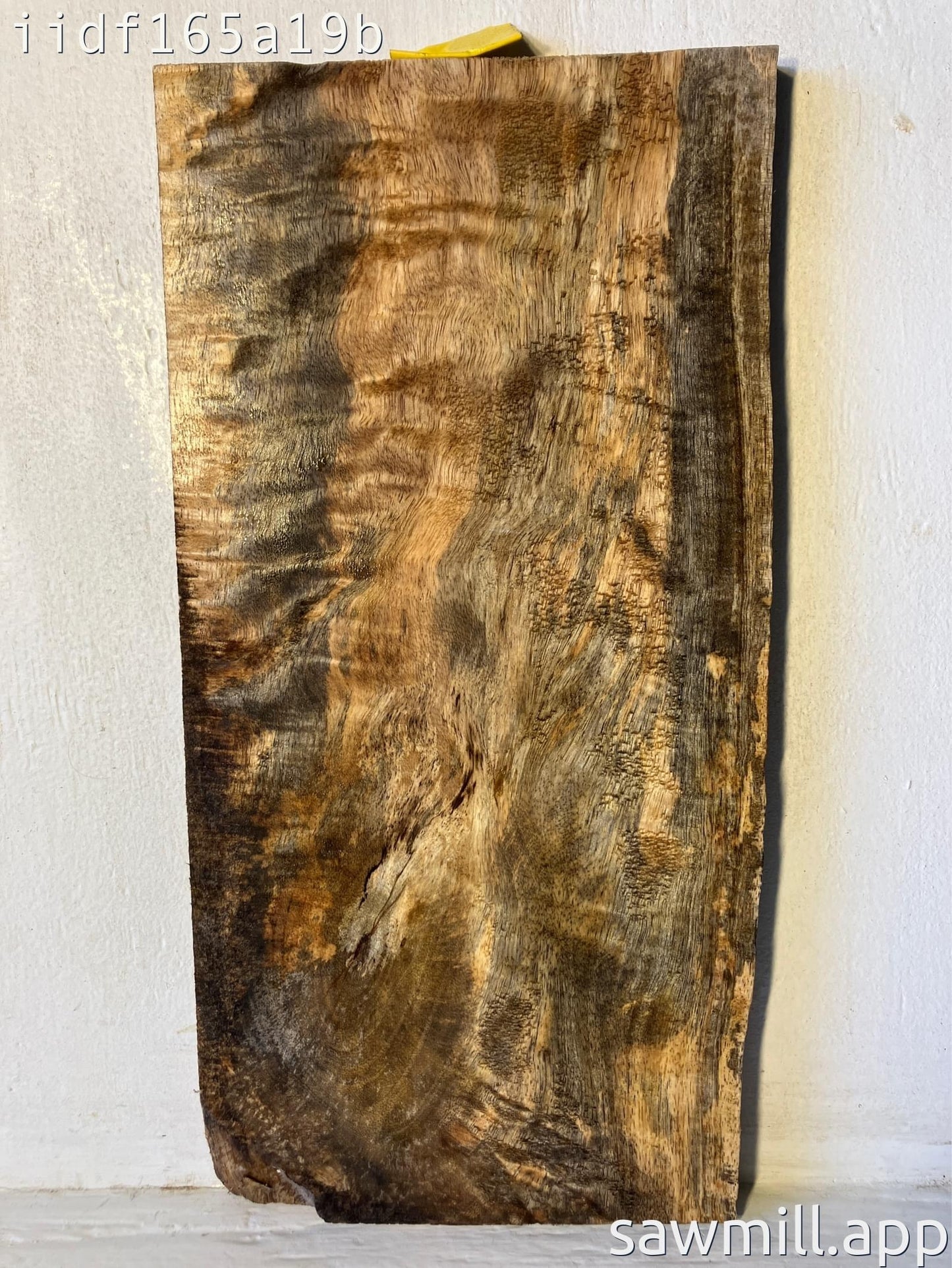 0.75" x 8" x 17" Mango