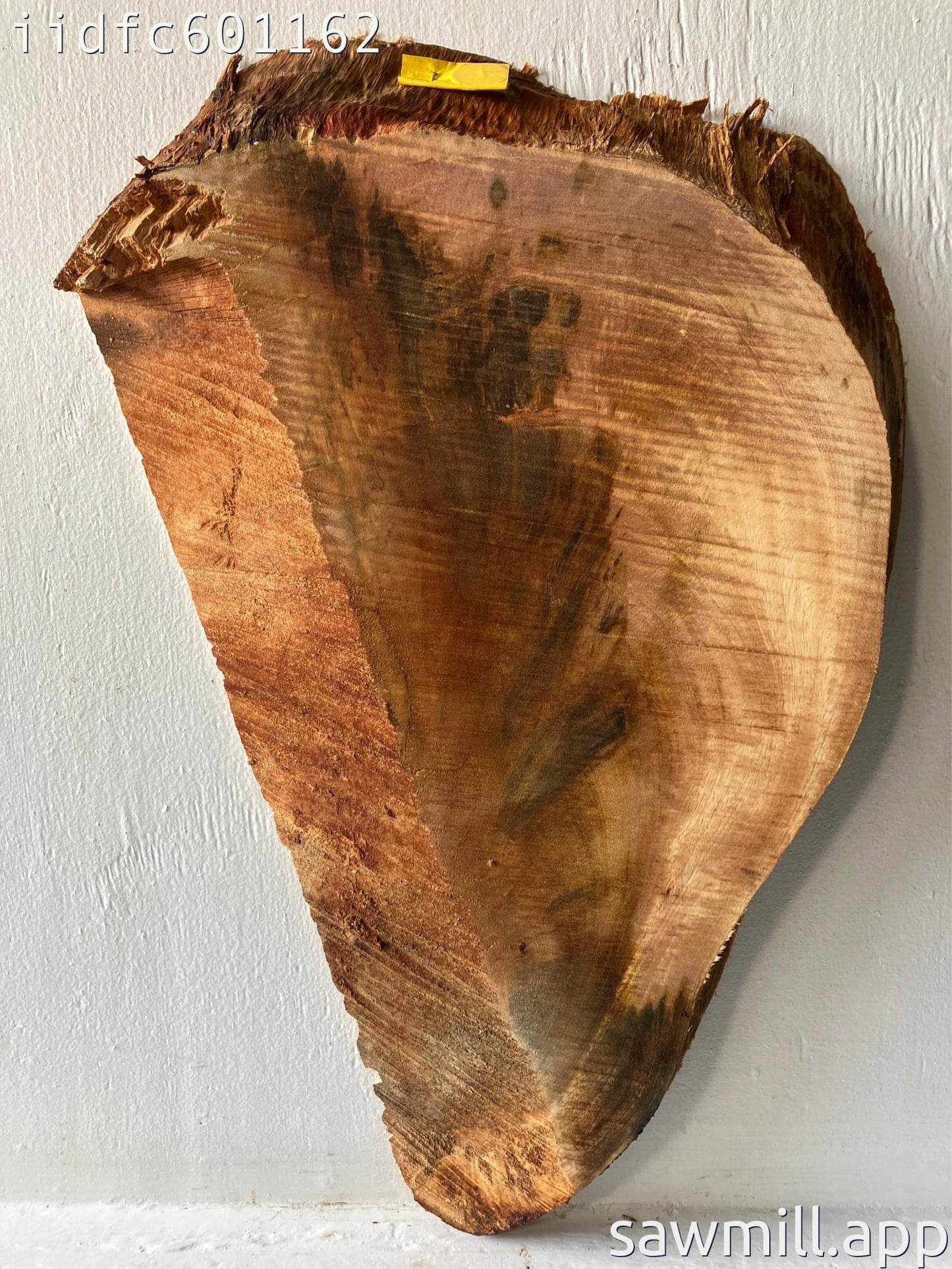 1.5" x 14" x 23" Mango