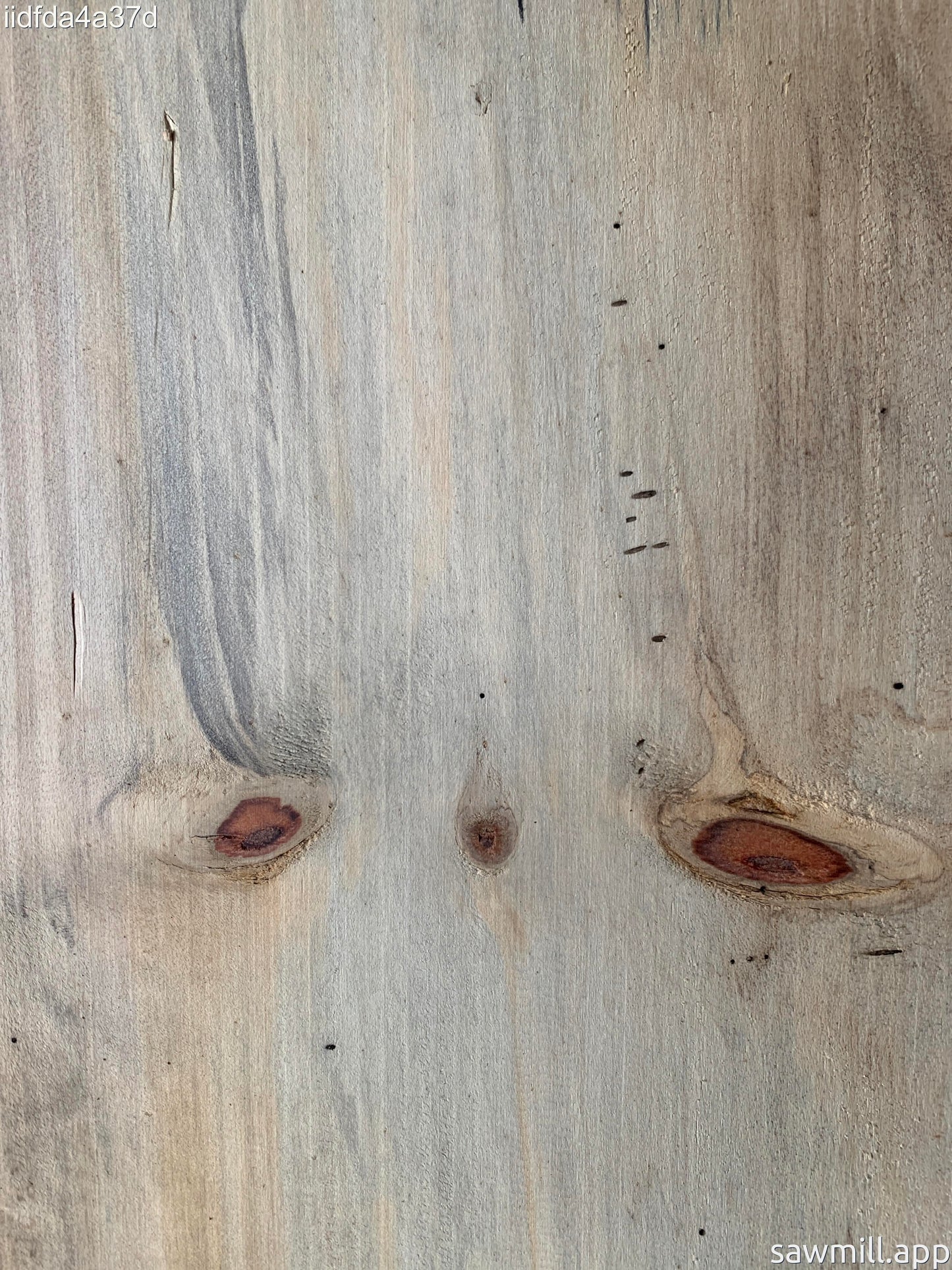 1" x 8" x 43" Norfolk Pine