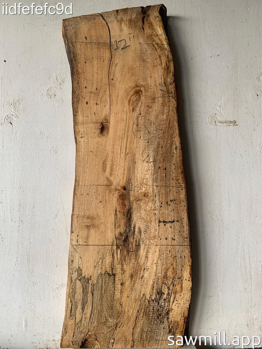 2" x 14" x 38" Mango