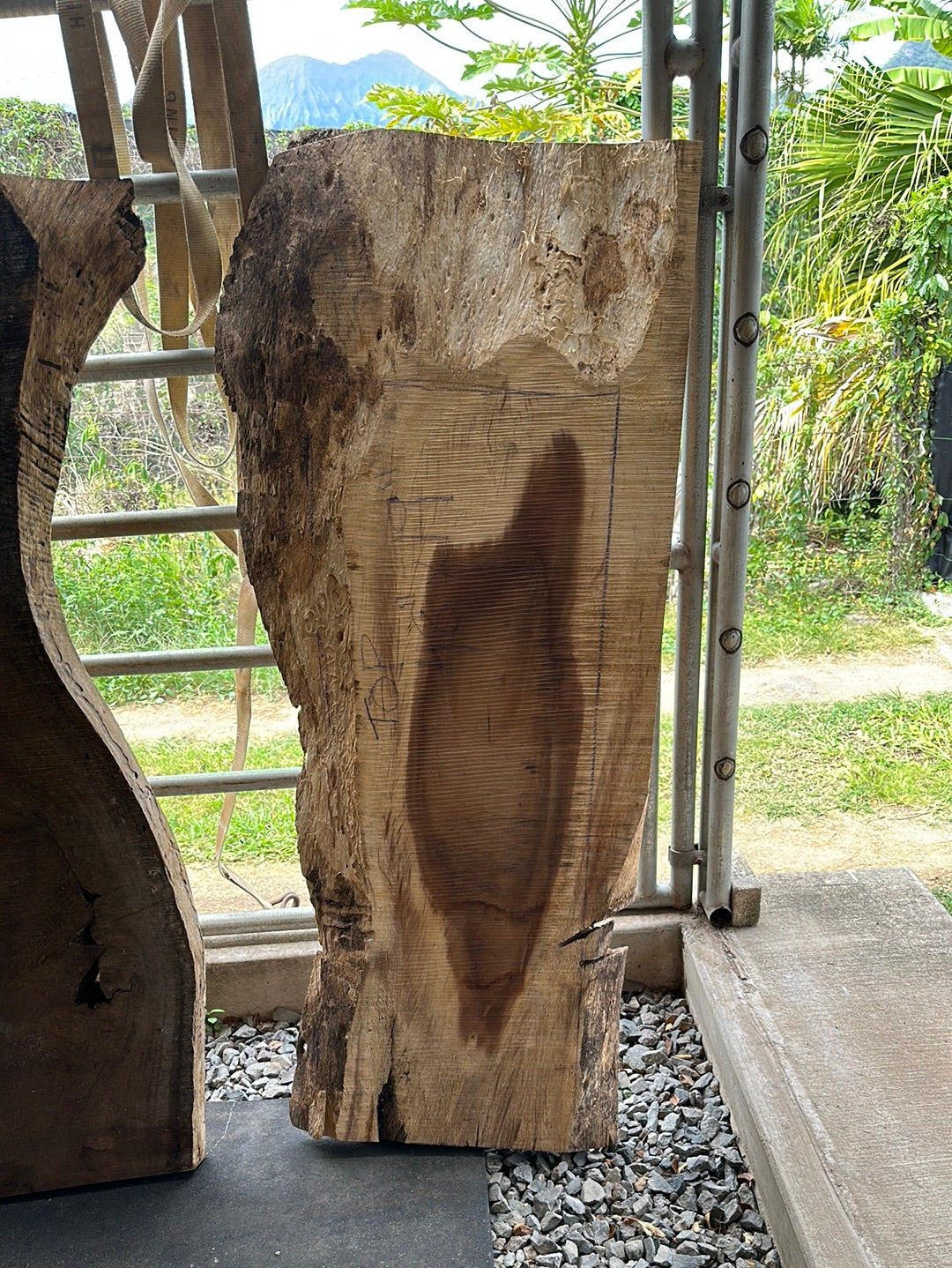 2.5" x 28" x 64" Monkeypod