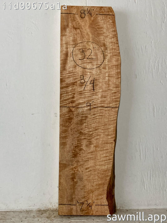 2" x 9" x 32" Mango