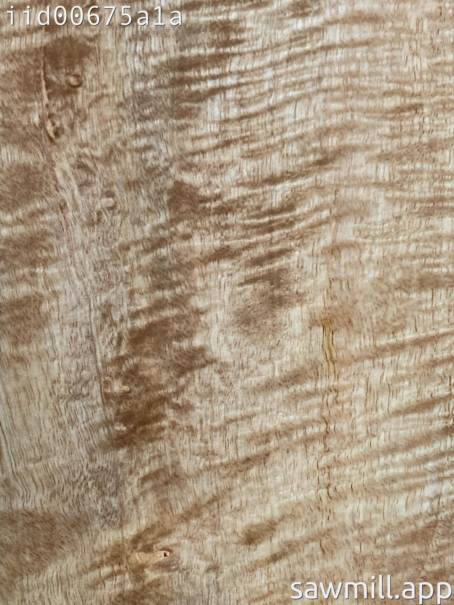 2" x 9" x 32" Mango