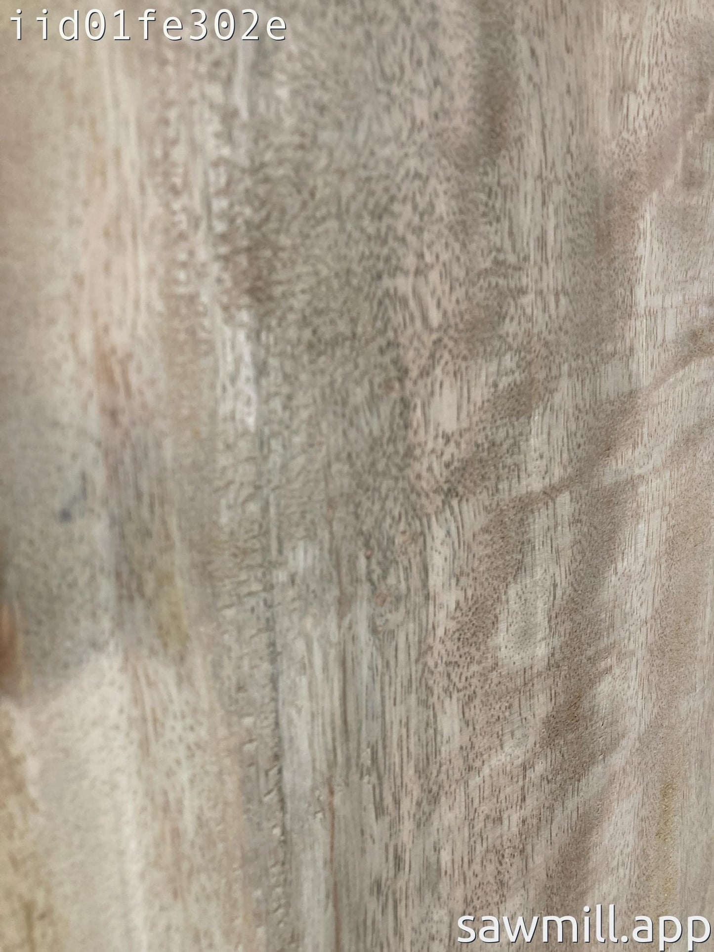 1" x 11" x 61" Mango