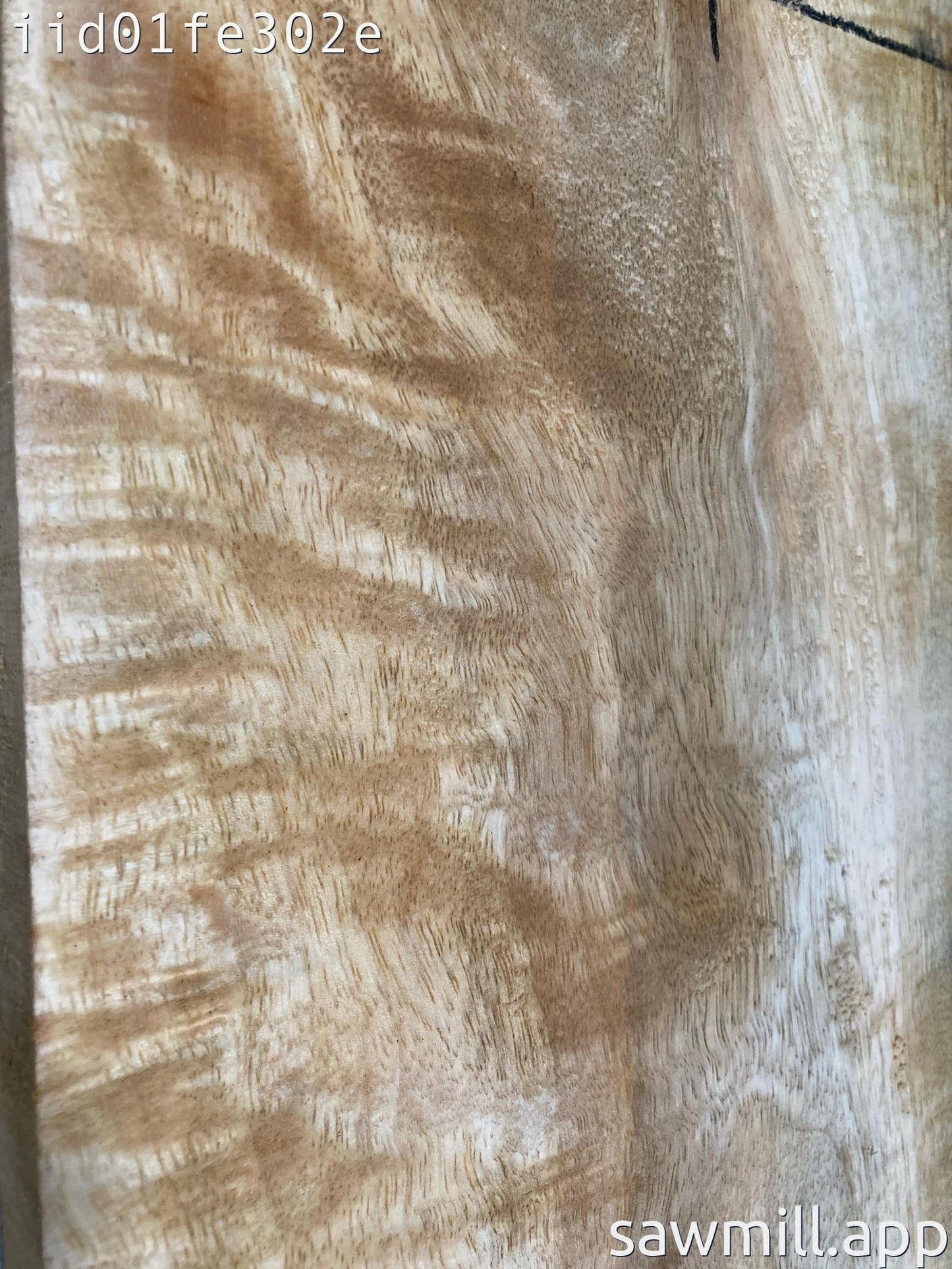 1" x 11" x 61" Mango