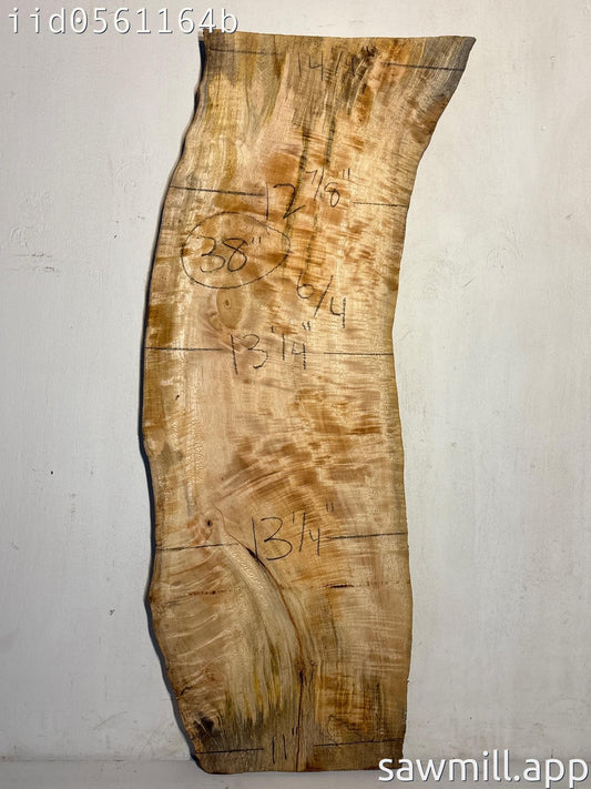 1.5" x 14" x 38" Mango