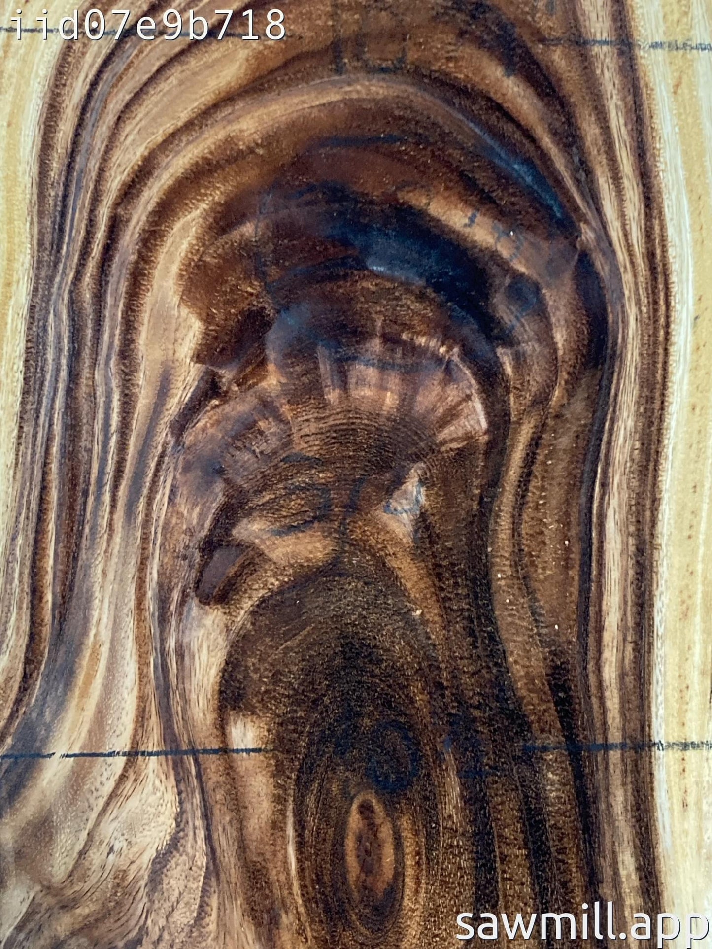 0.75" x 11" x 23" Monkeypod