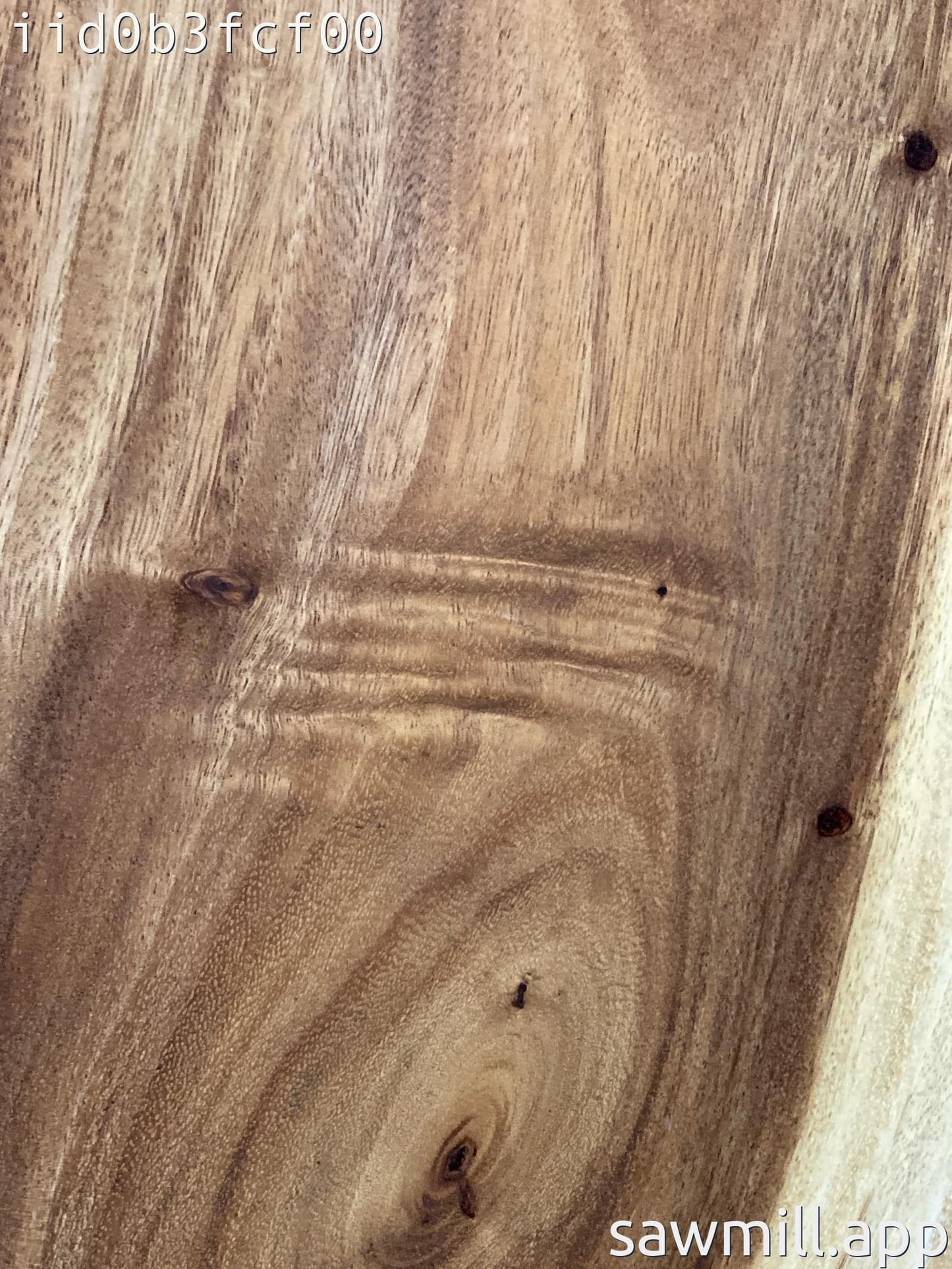 1.5" x 13" x 69" Monkeypod