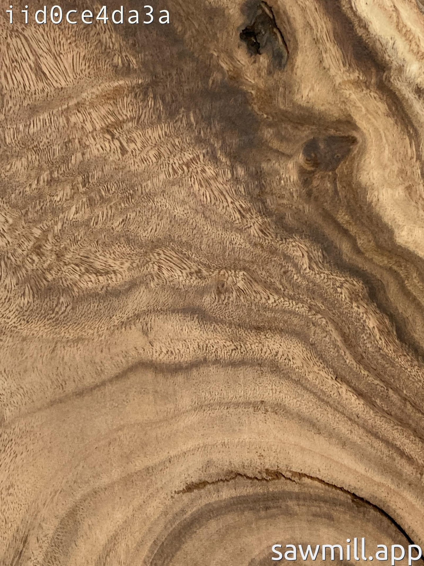 2" x 15" x 26" Monkeypod