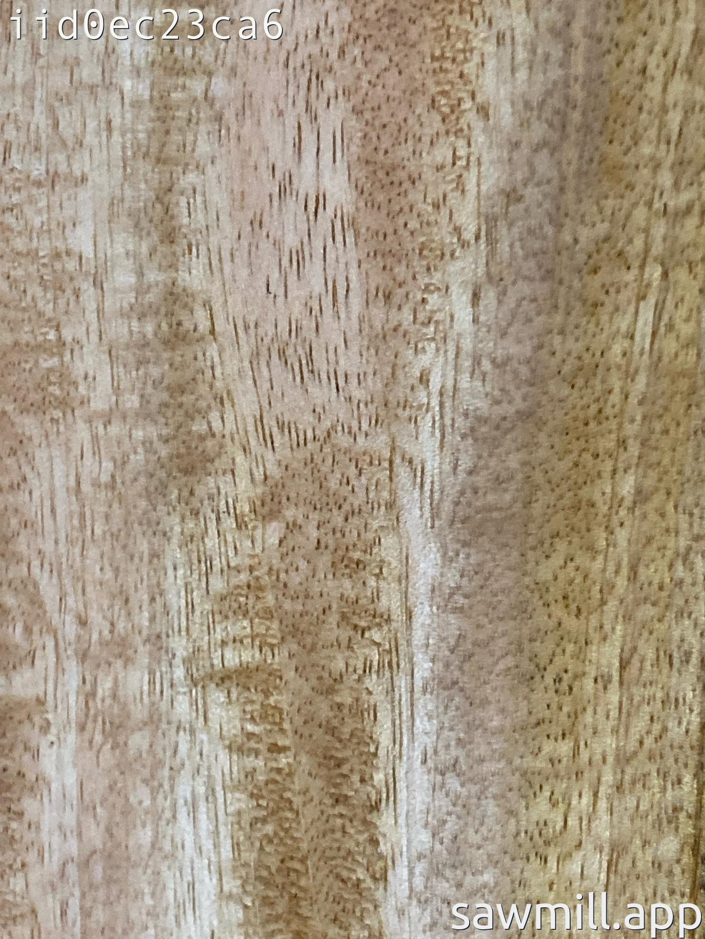 1" x 5" x 62" Mango