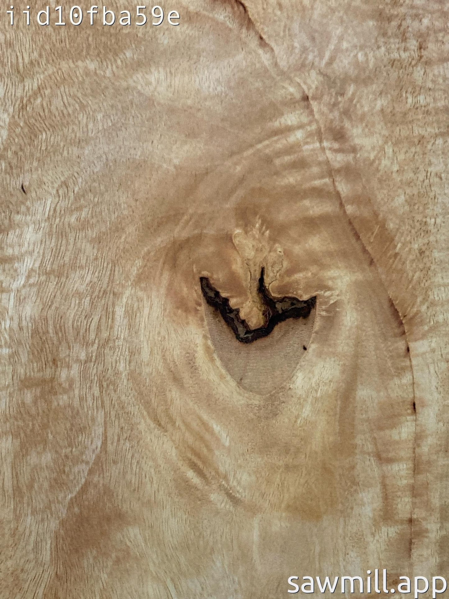 1.75" x 17" x 53" Mango