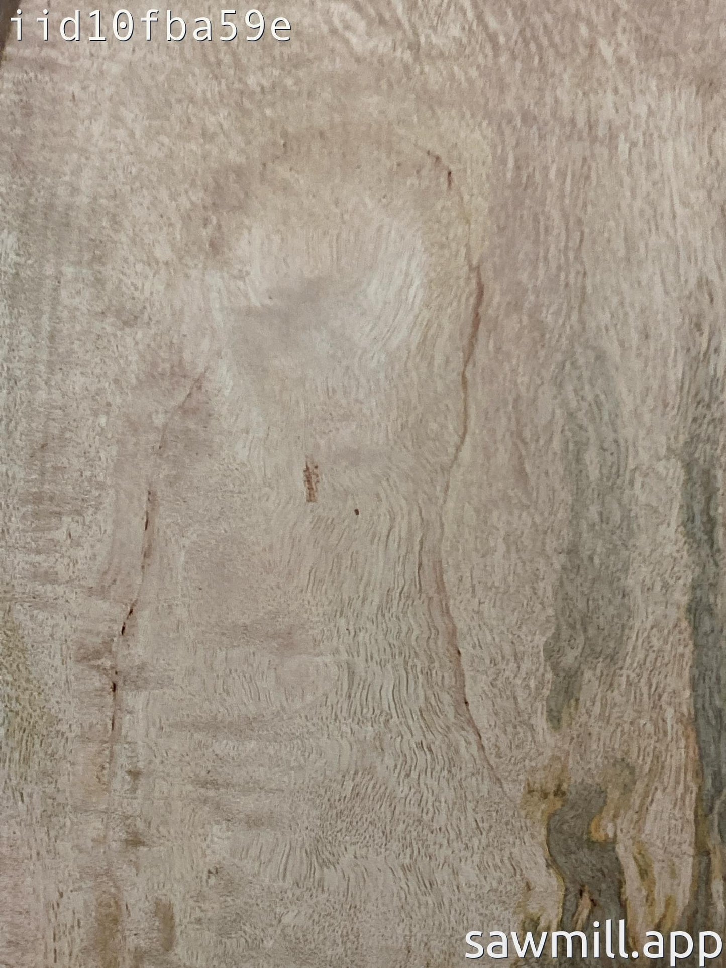 1.75" x 17" x 53" Mango