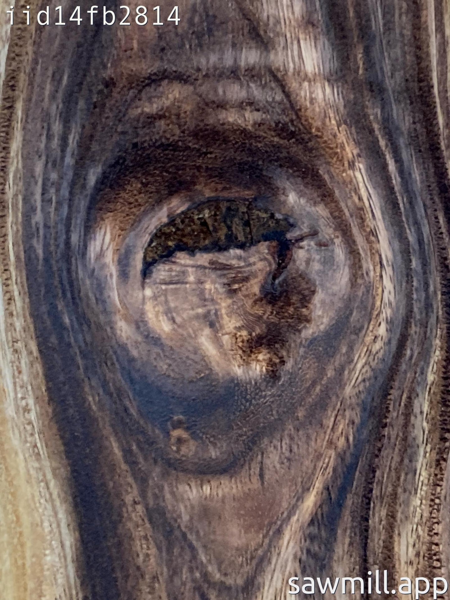 1" x 5" x 51" Monkeypod
