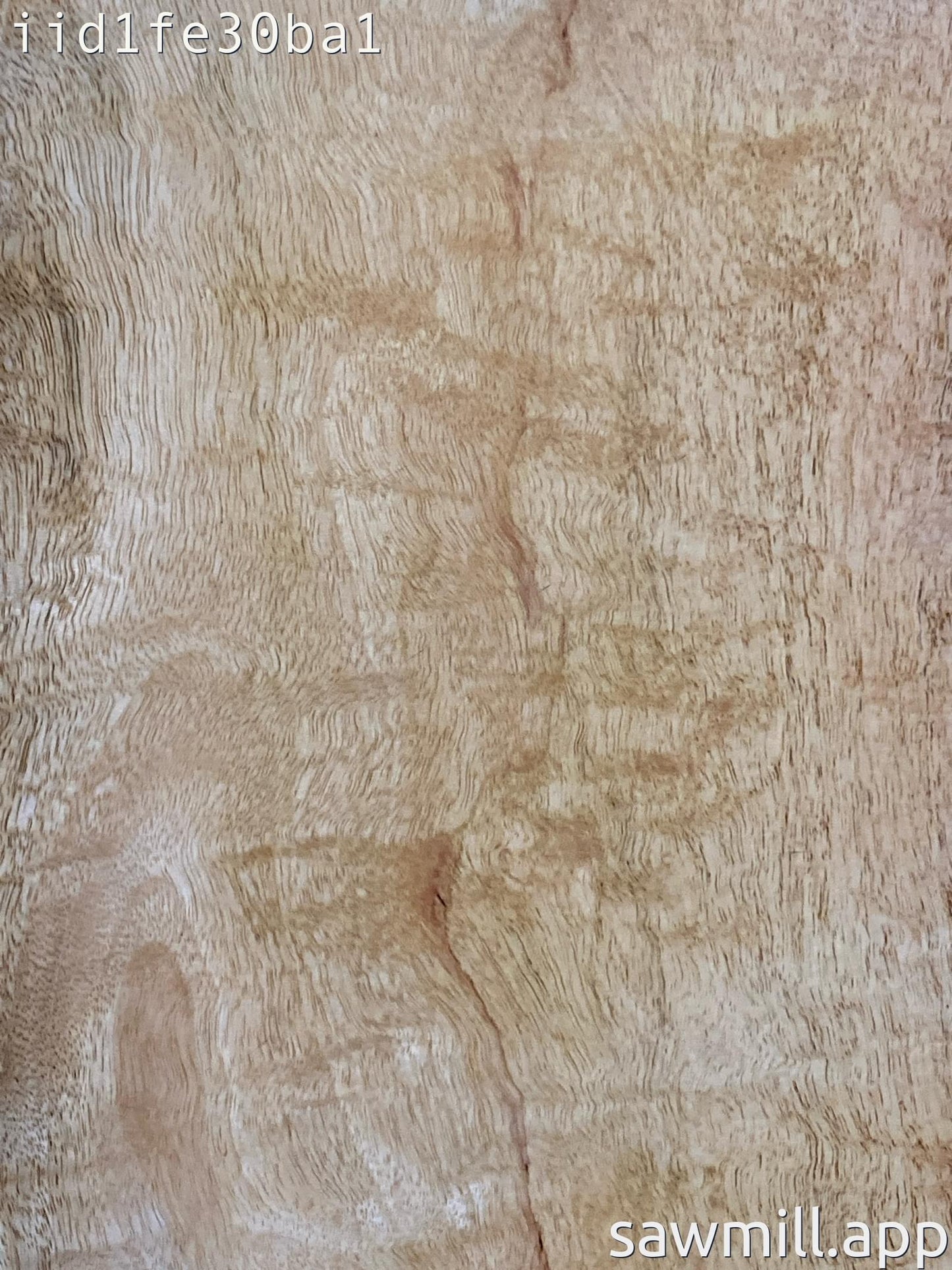 1.5" x 19" x 56" Mango