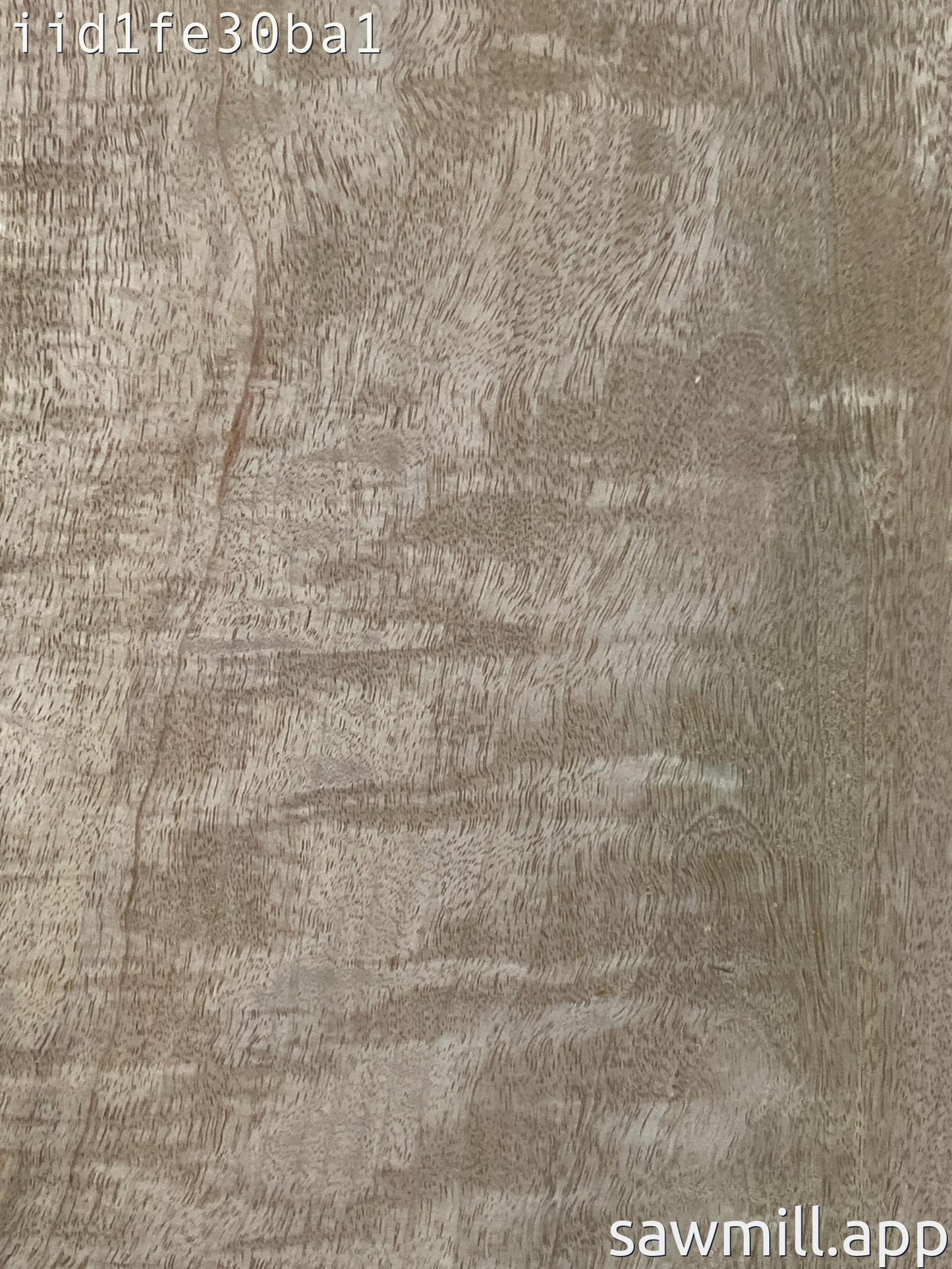 1.5" x 19" x 56" Mango