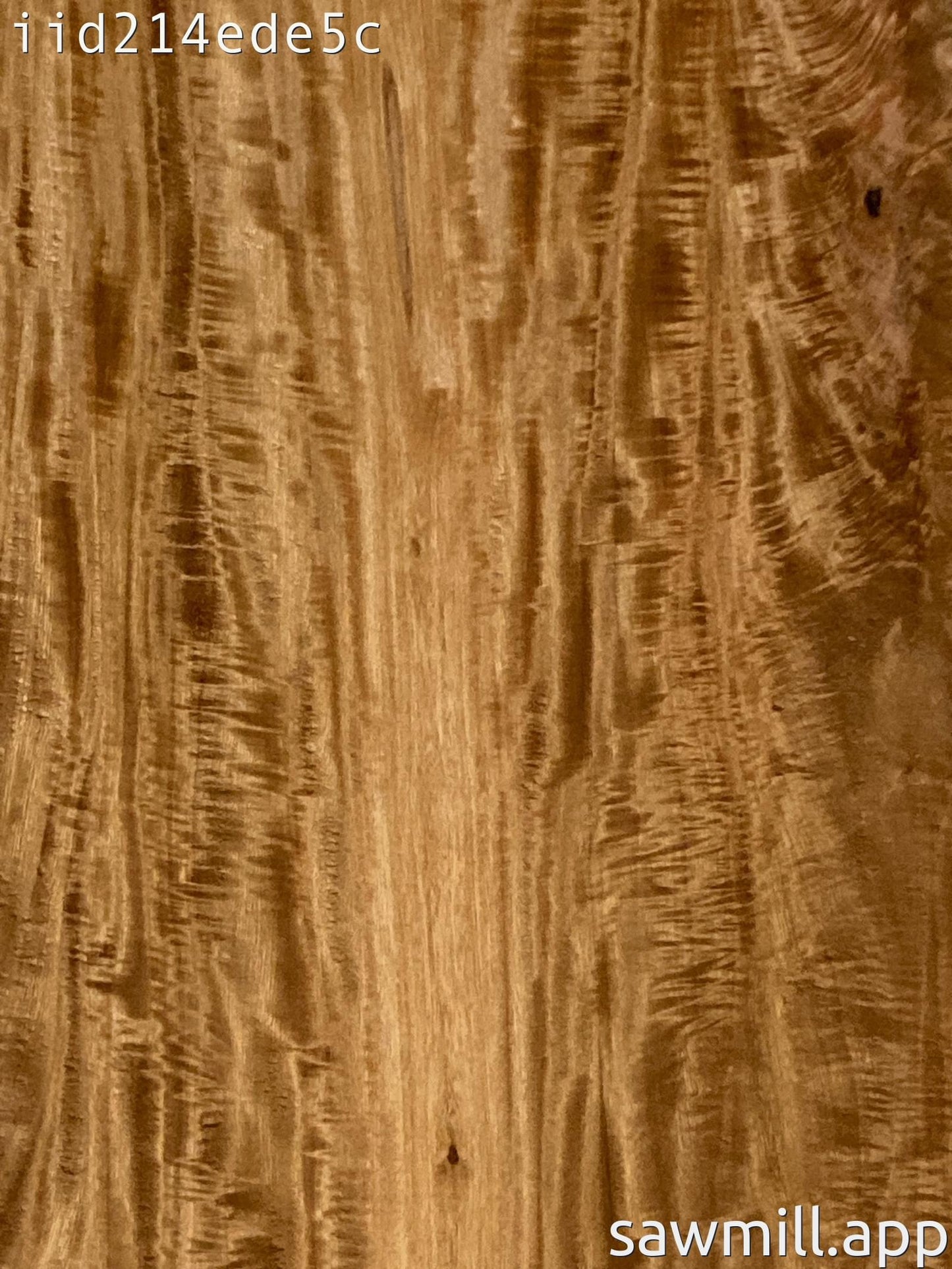 0.75" x 9" x 74" Fiddle Wood