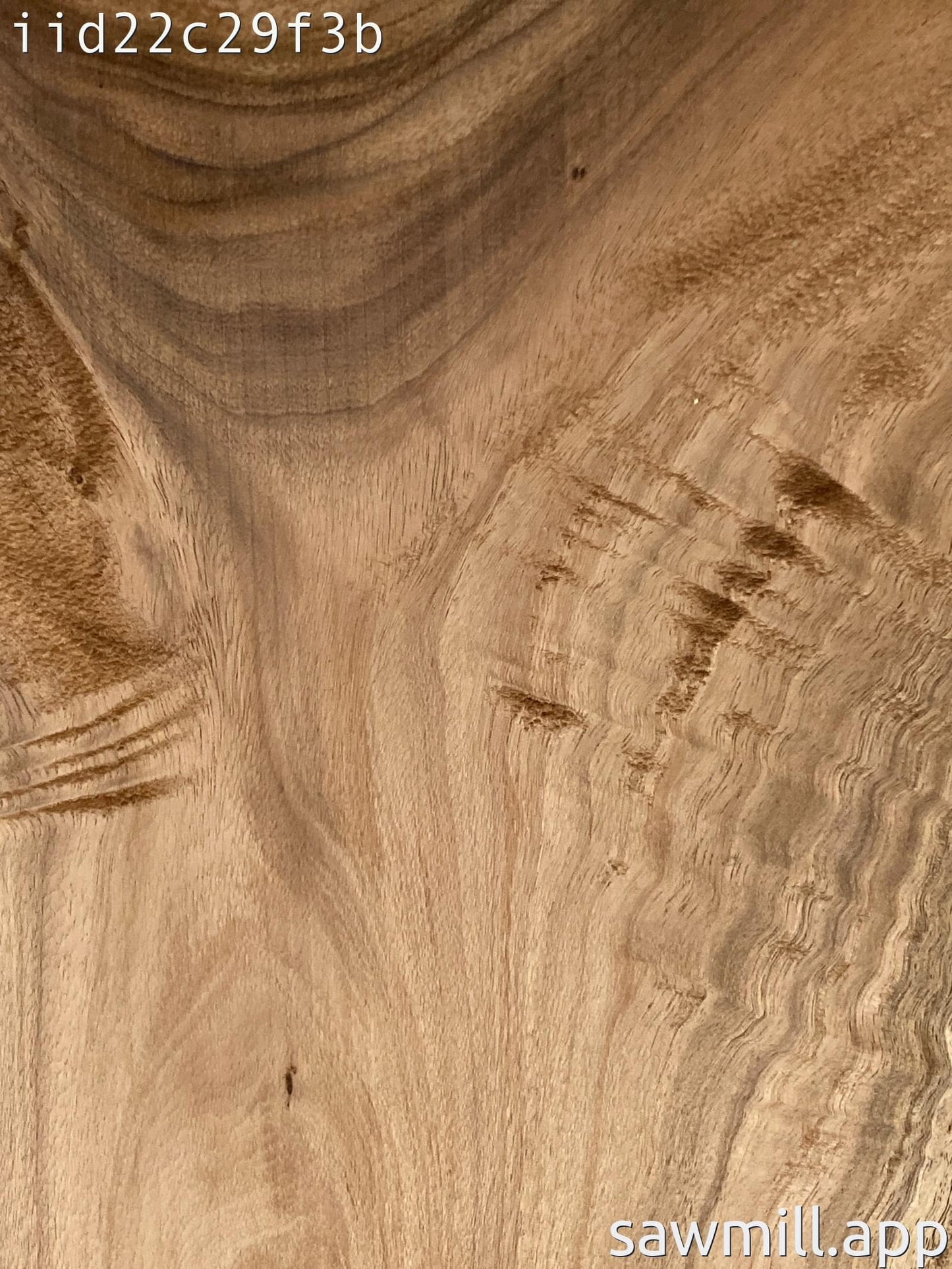 0.75" x 13" x 52" Monkeypod