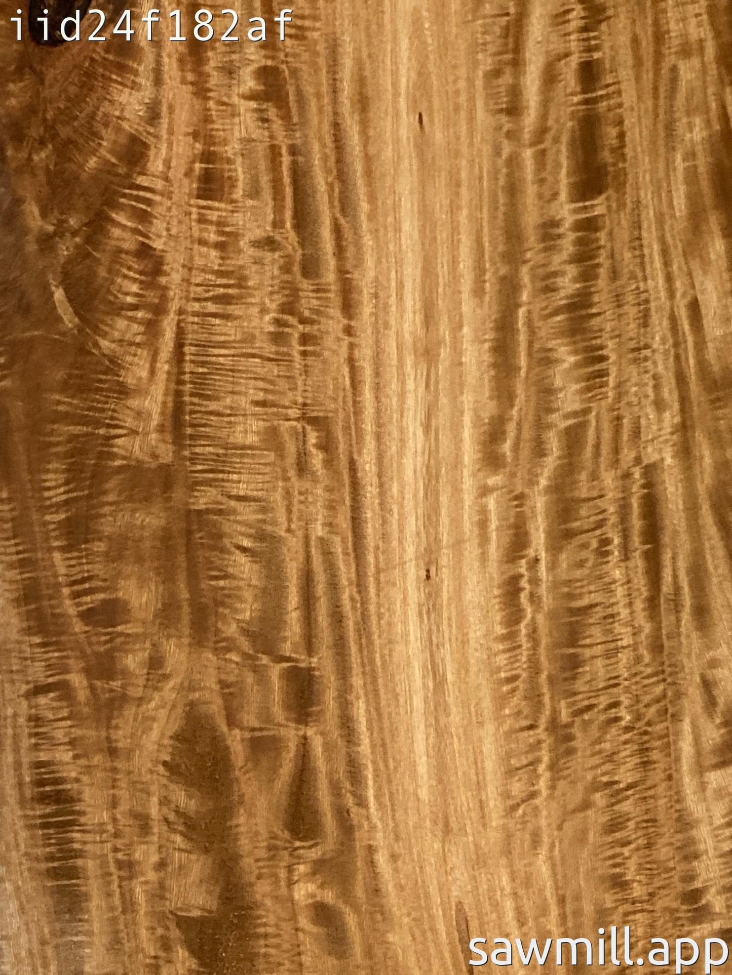 0.75" x 9" x 72" Fiddle Wood