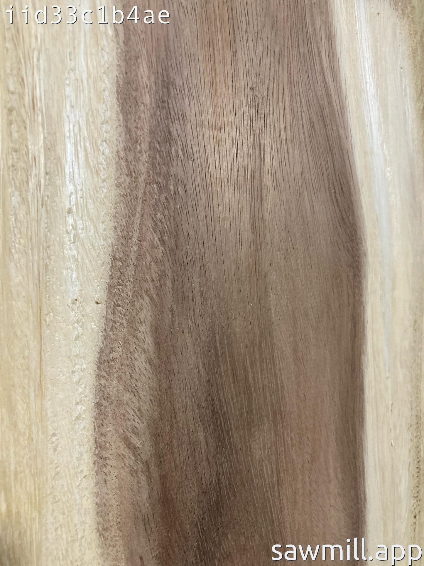 1.25" x 12" x 24" Monkeypod