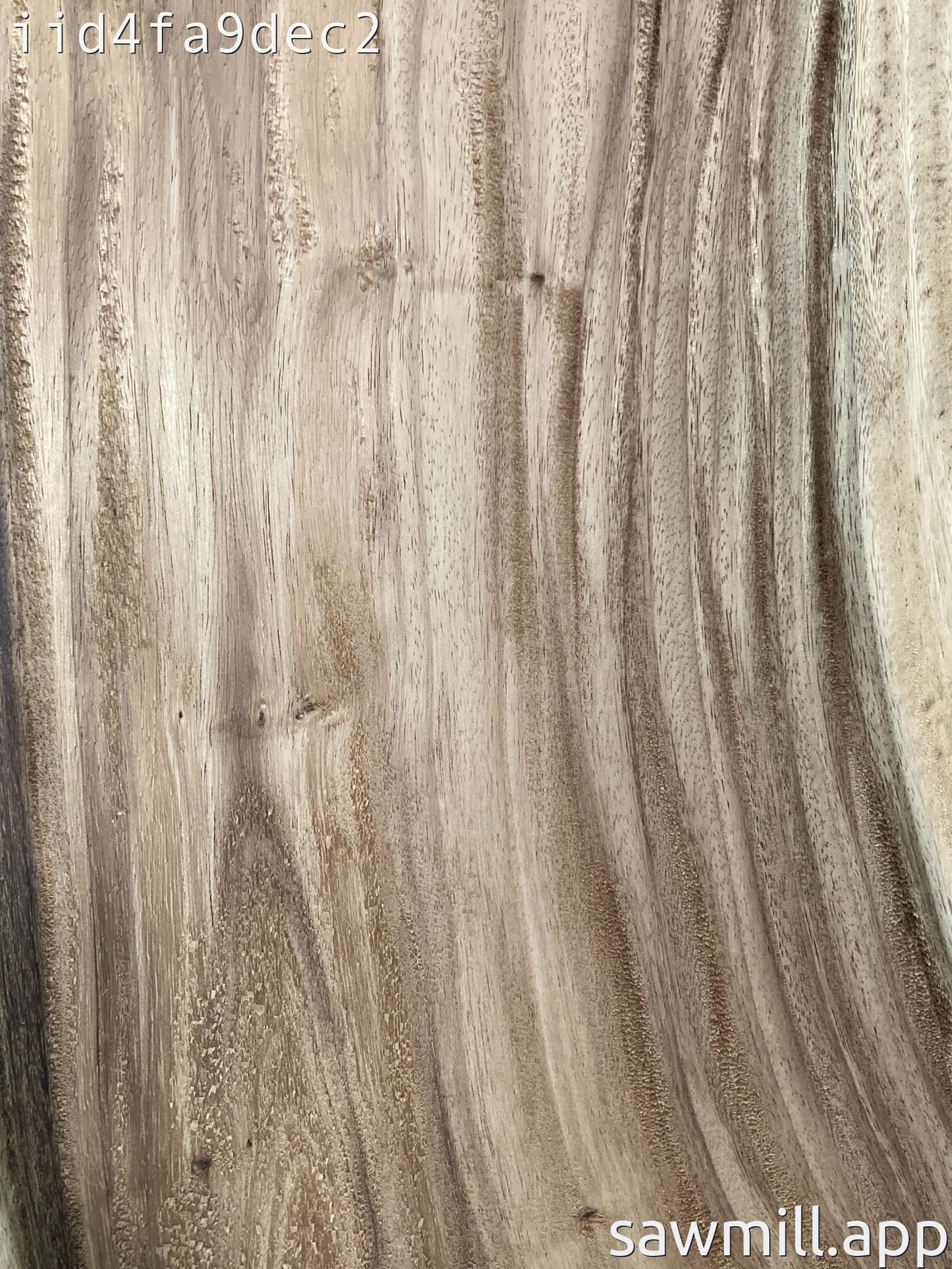 0.75" x 14" x 42" Monkeypod