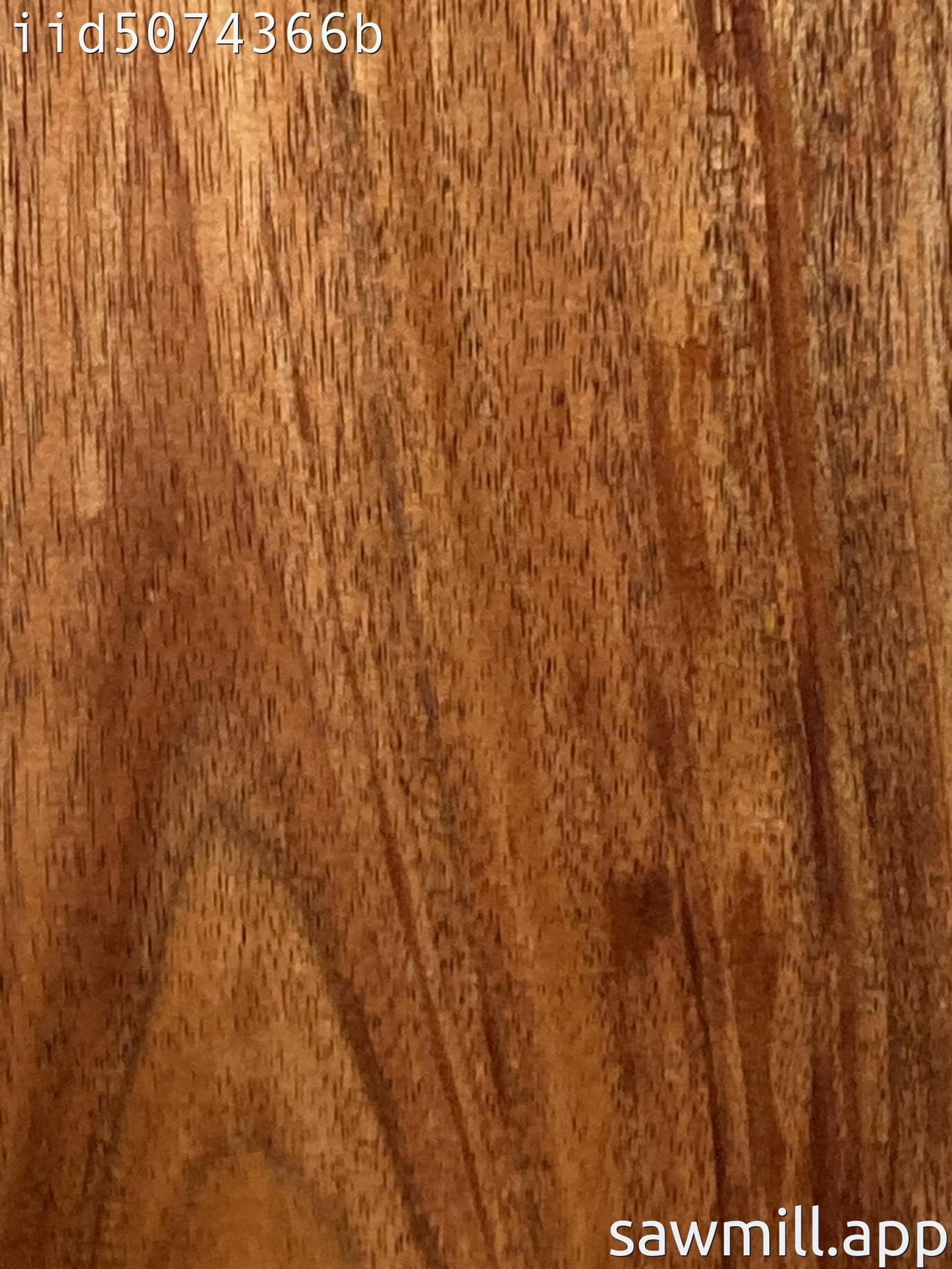 0.5" x 5" x 39" Koa