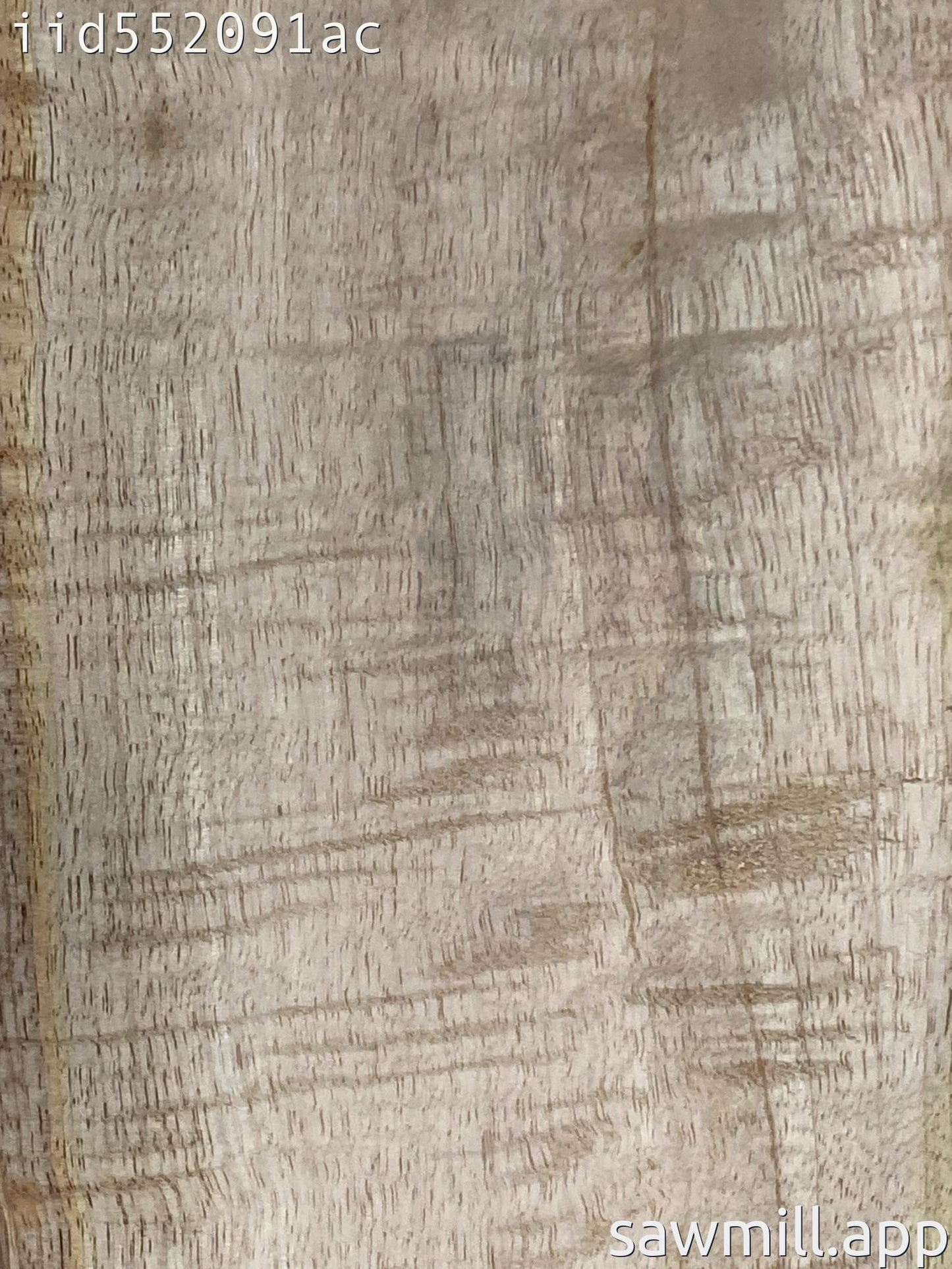 1.75" x 8" x 66" Mango