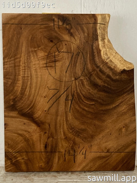 1.75" x 14" x 17" Monkeypod