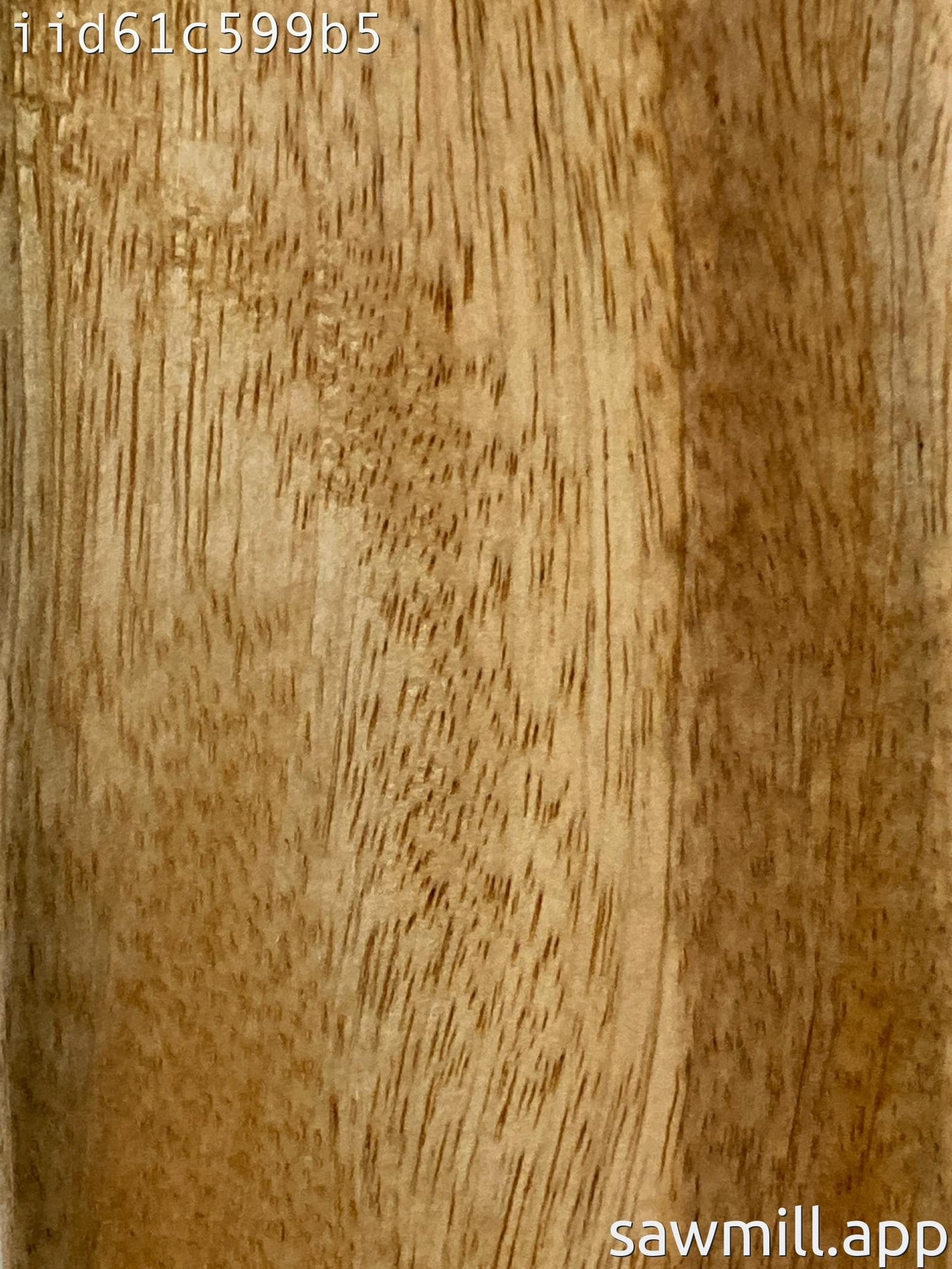 1.75" x 3" x 36" Mango