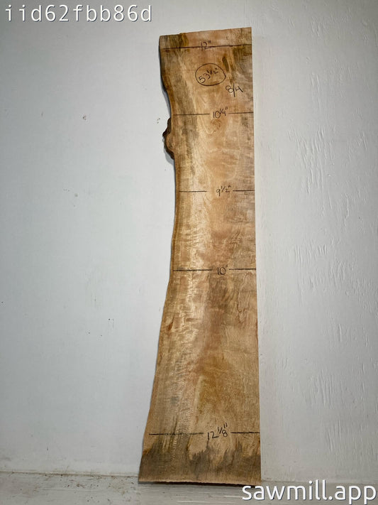 2" x 12" x 53" Mango