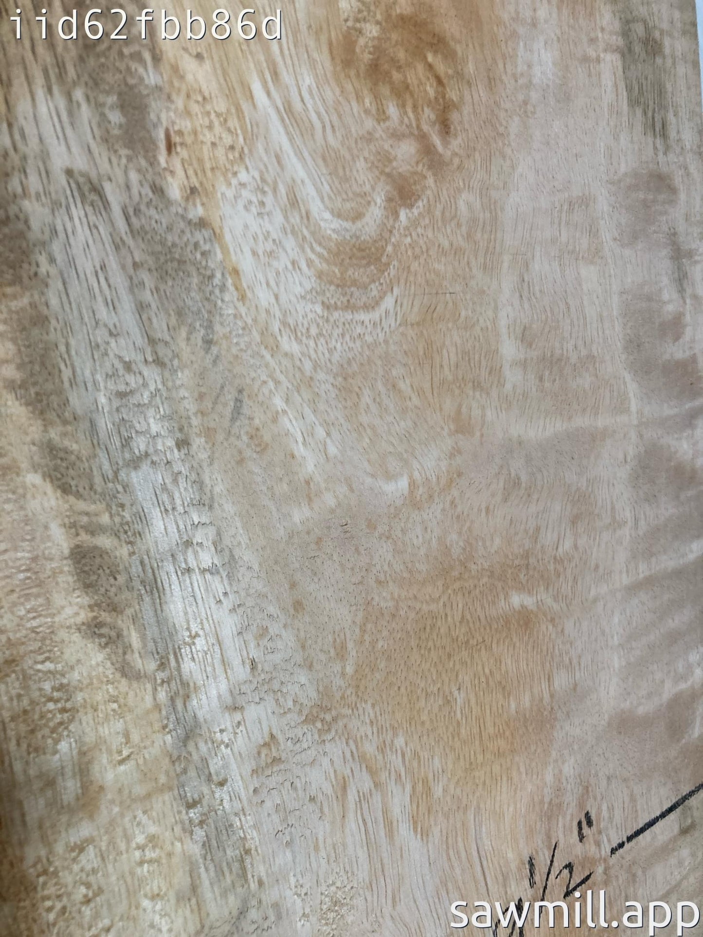 2" x 12" x 53" Mango
