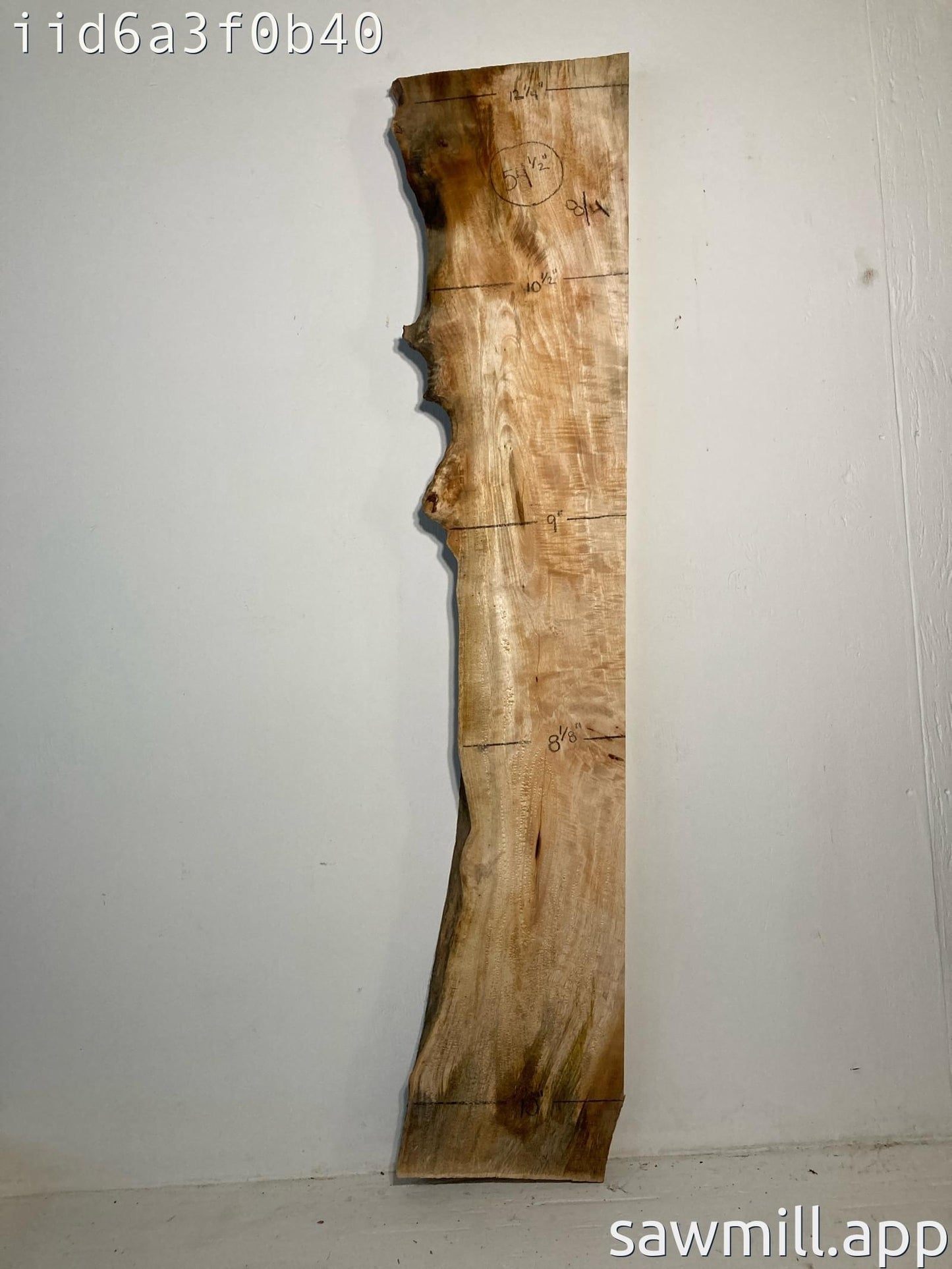 2" x 12" x 54" Mango