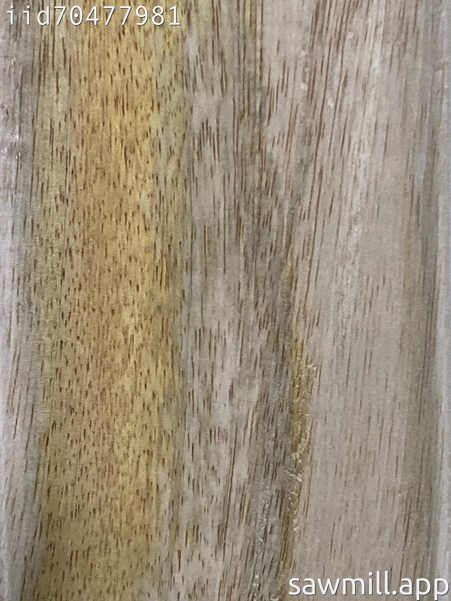 1.75" x 3" x 36" Mango