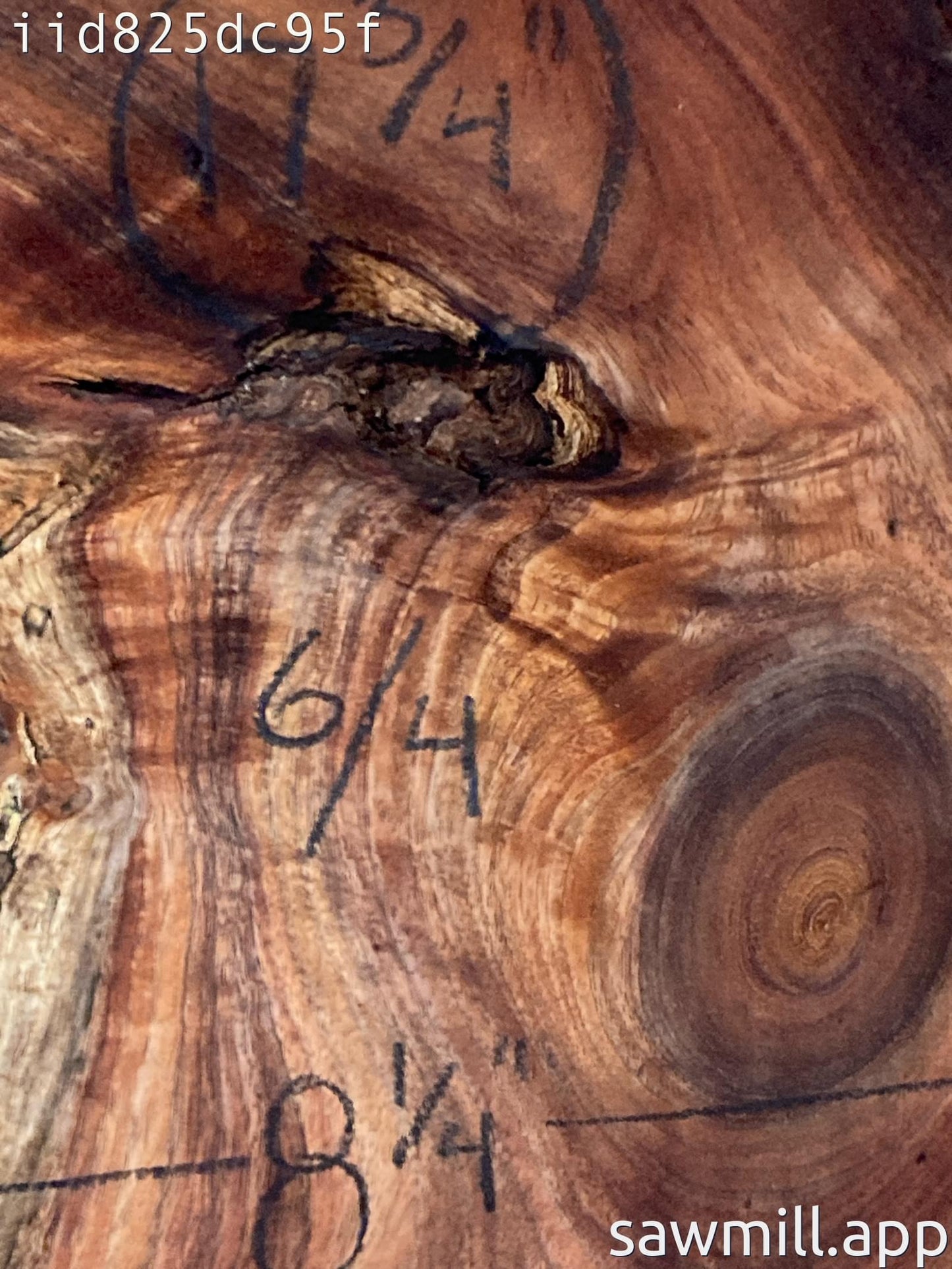 1.5" x 8" x 17" Koa