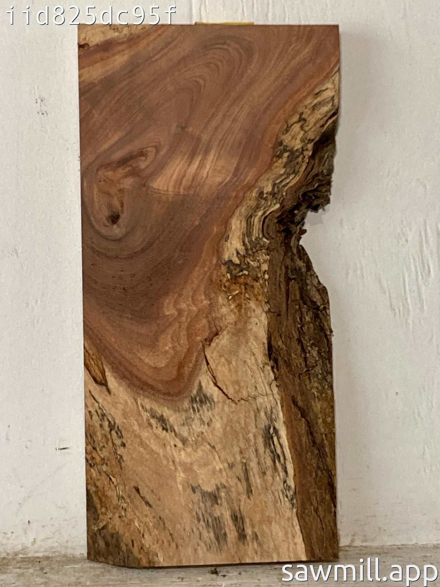 1.5" x 8" x 17" Koa