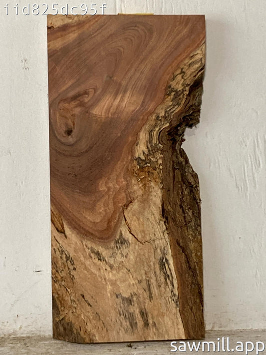 1.5" x 8" x 17" Koa