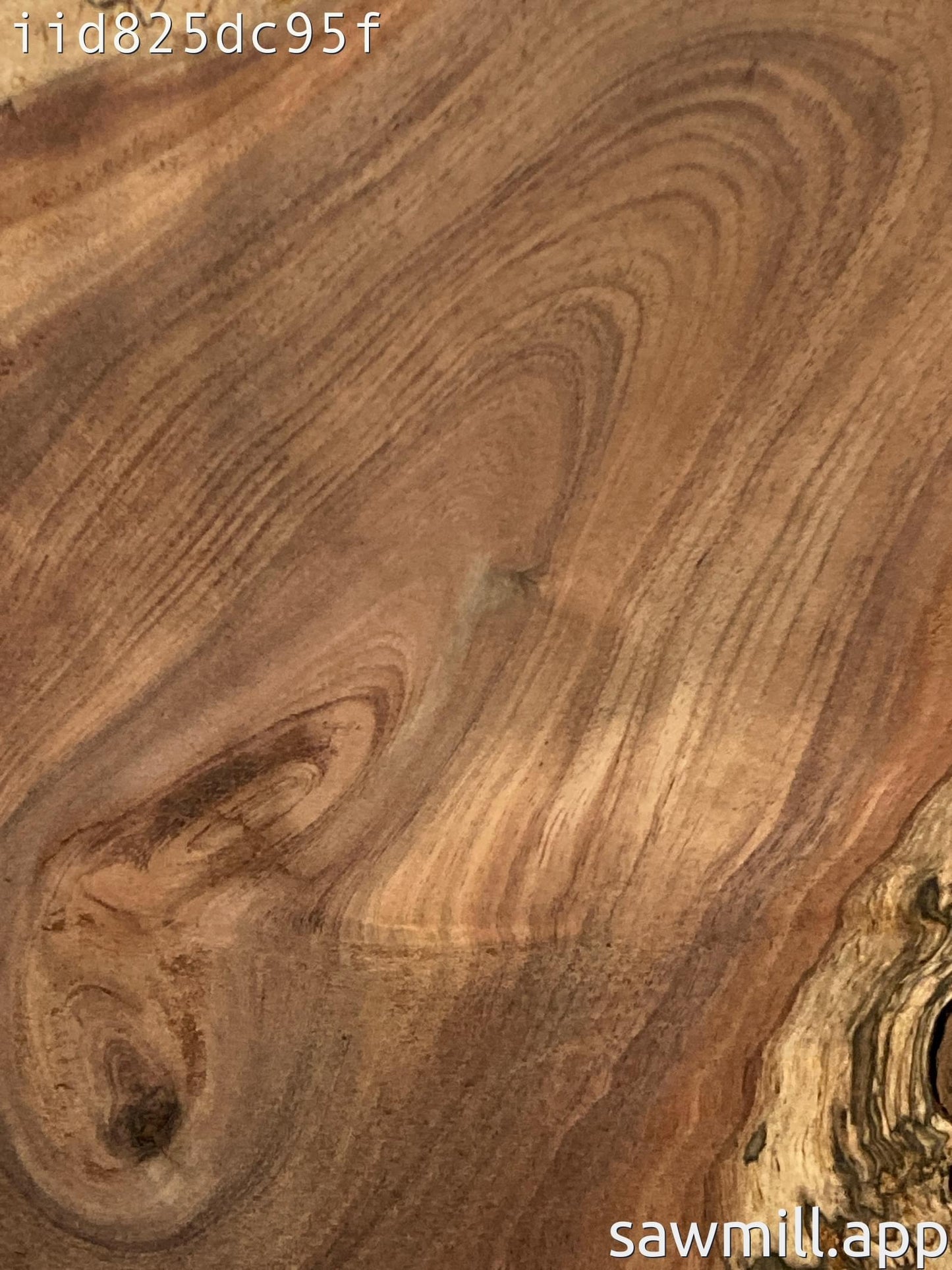1.5" x 8" x 17" Koa