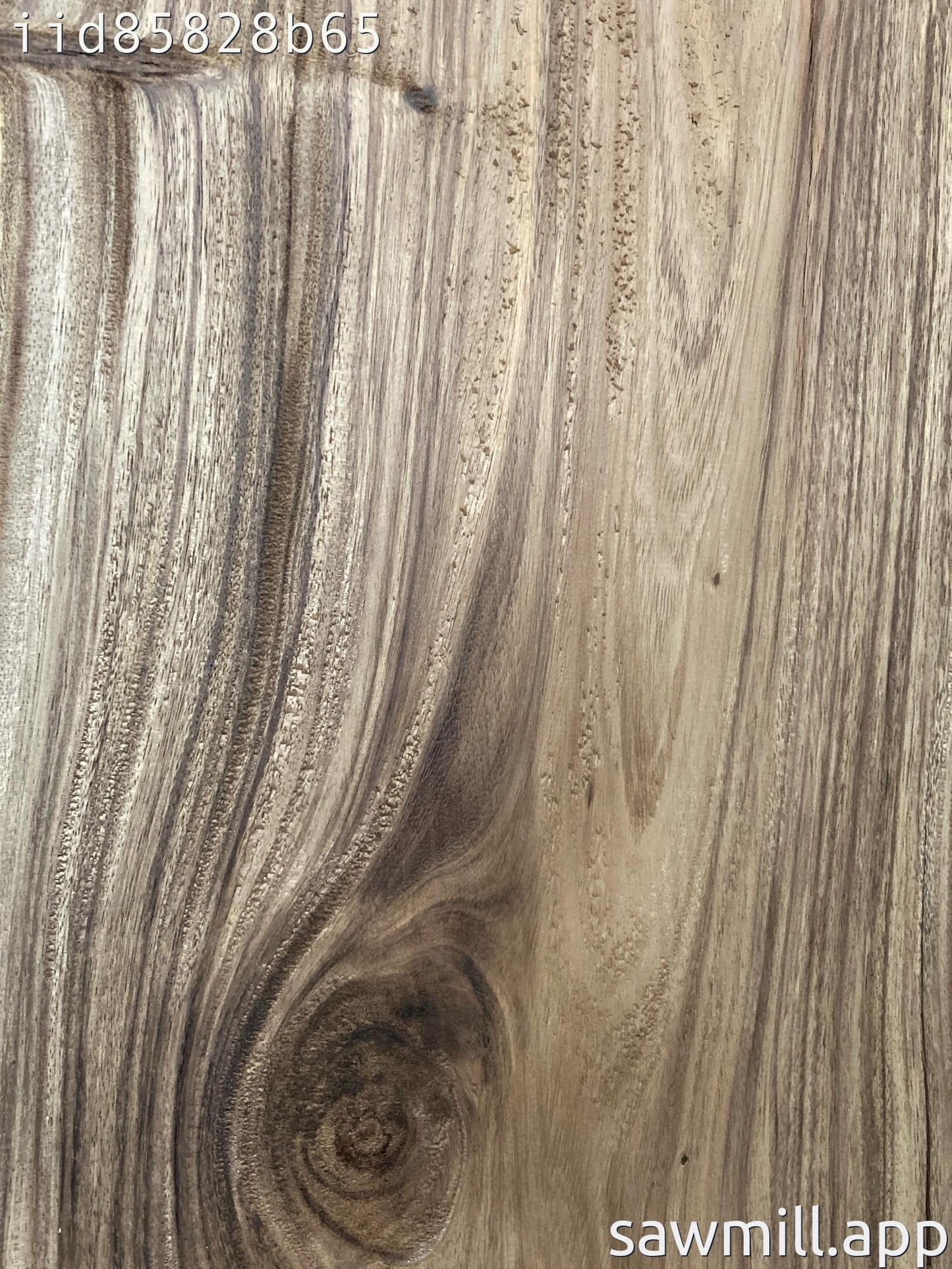 1.75" x 18" x 39" Monkeypod