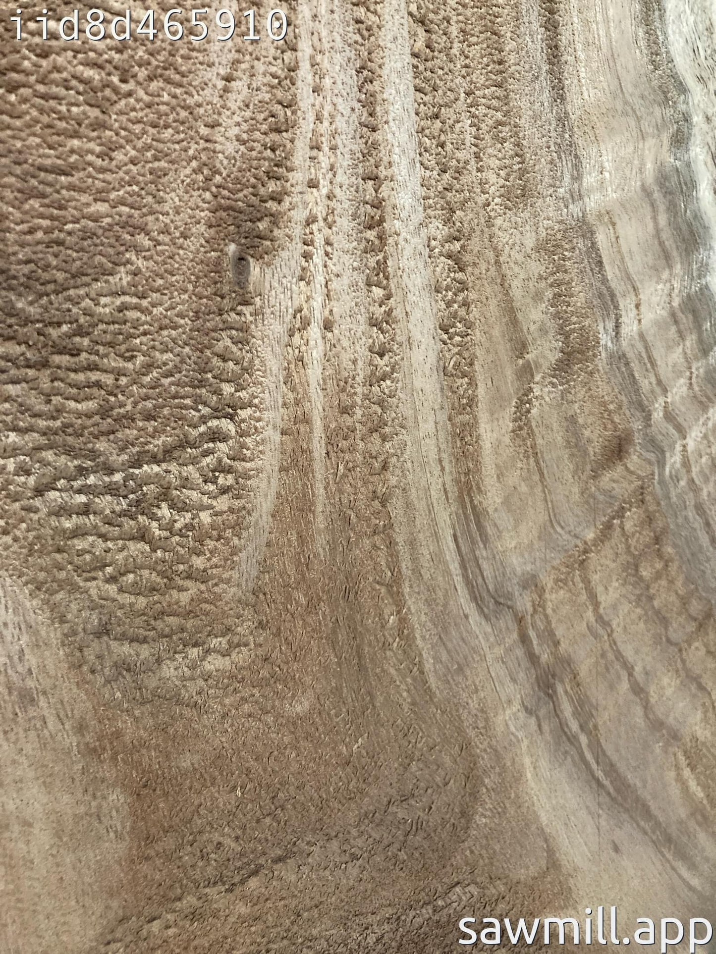 2.25" x 13" x 49" Monkeypod