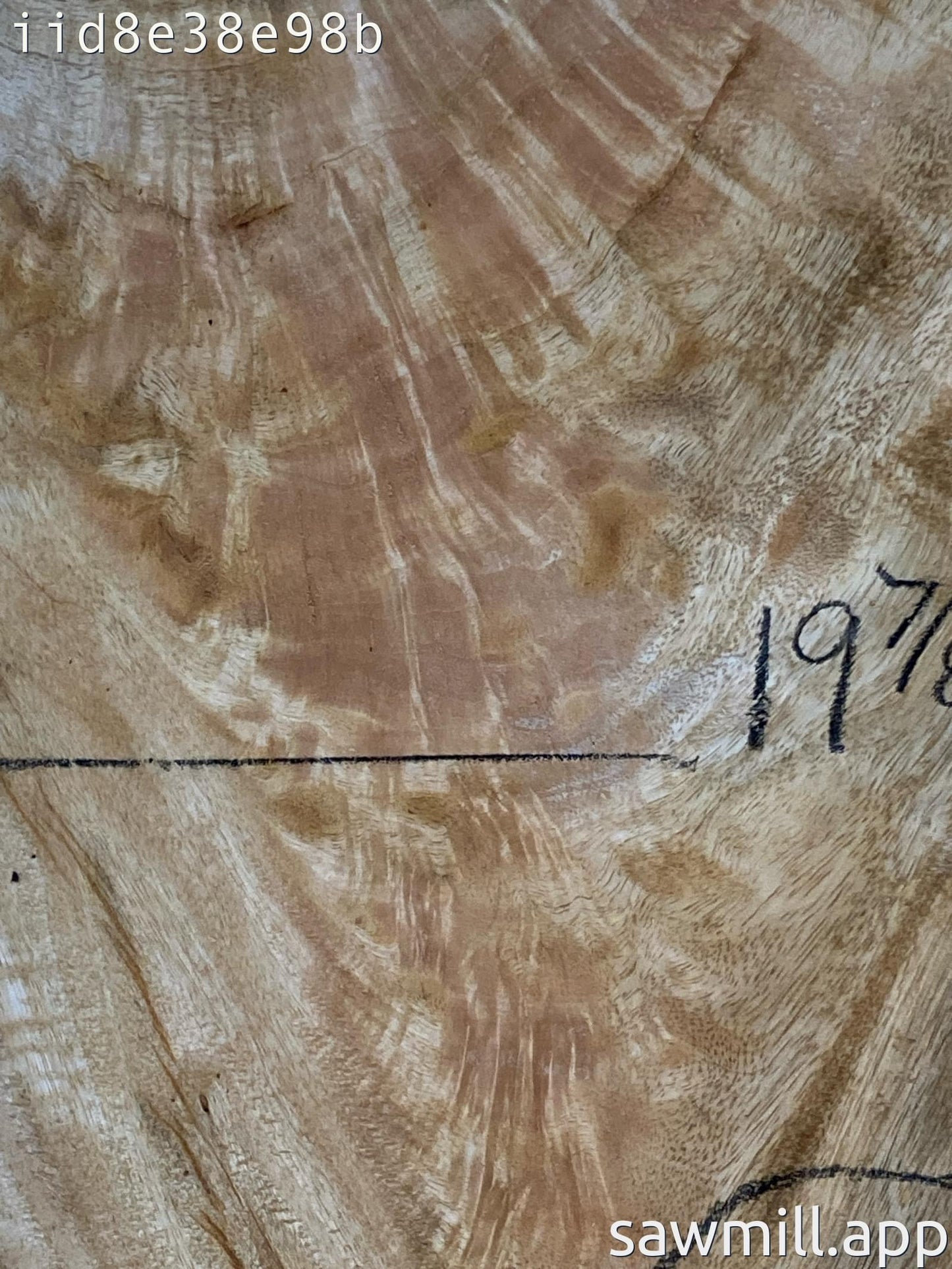 1.5" x 19" x 59" Mango