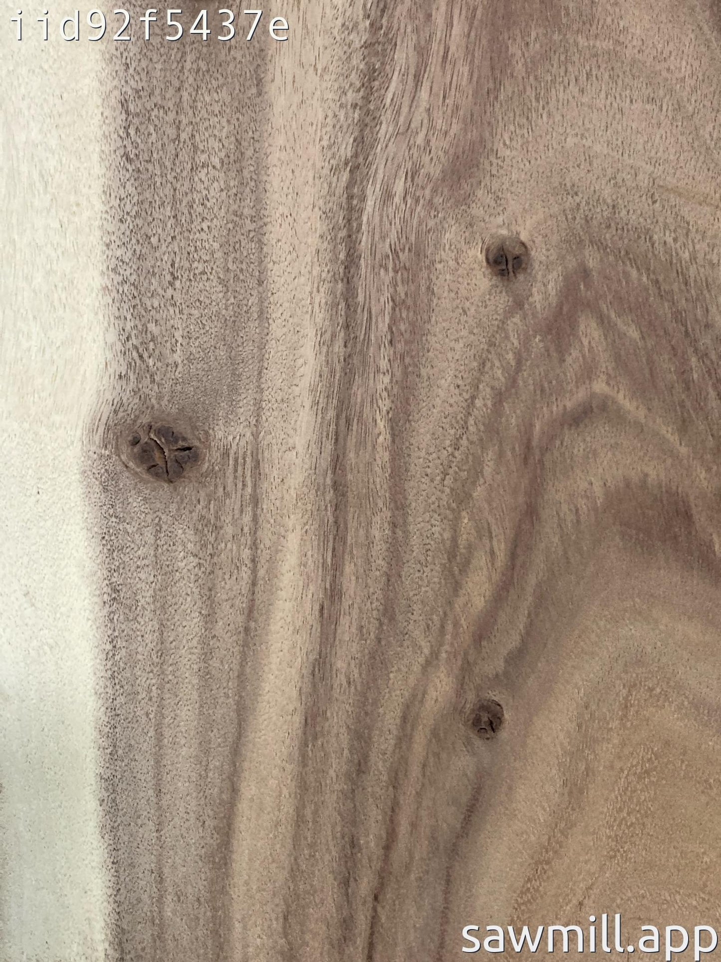 2" x 12" x 48" Monkeypod