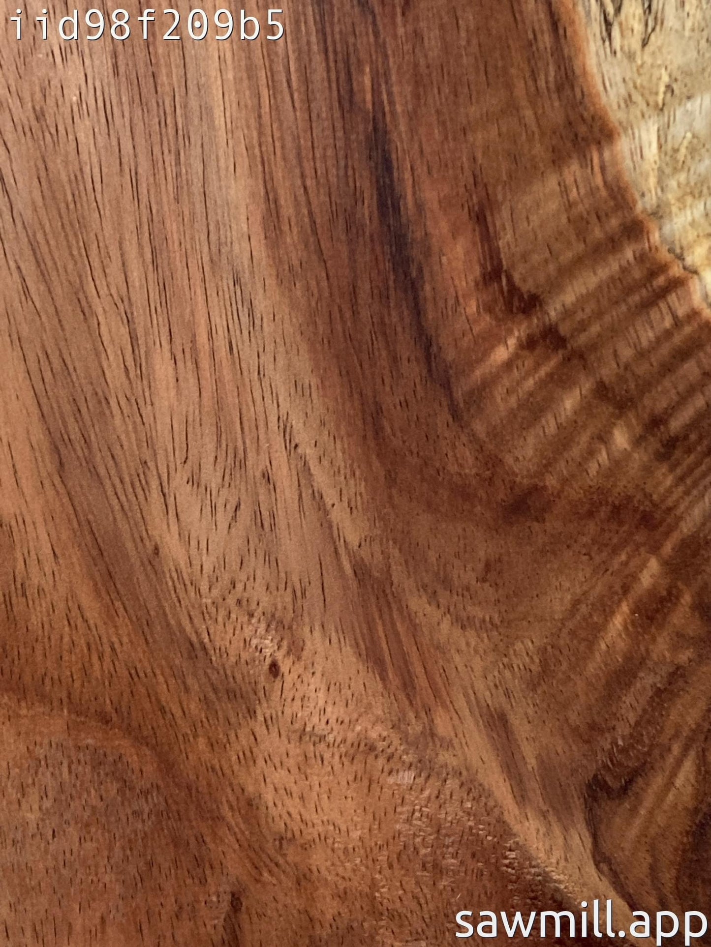 1" x 7" x 82" Chocolate Albizia