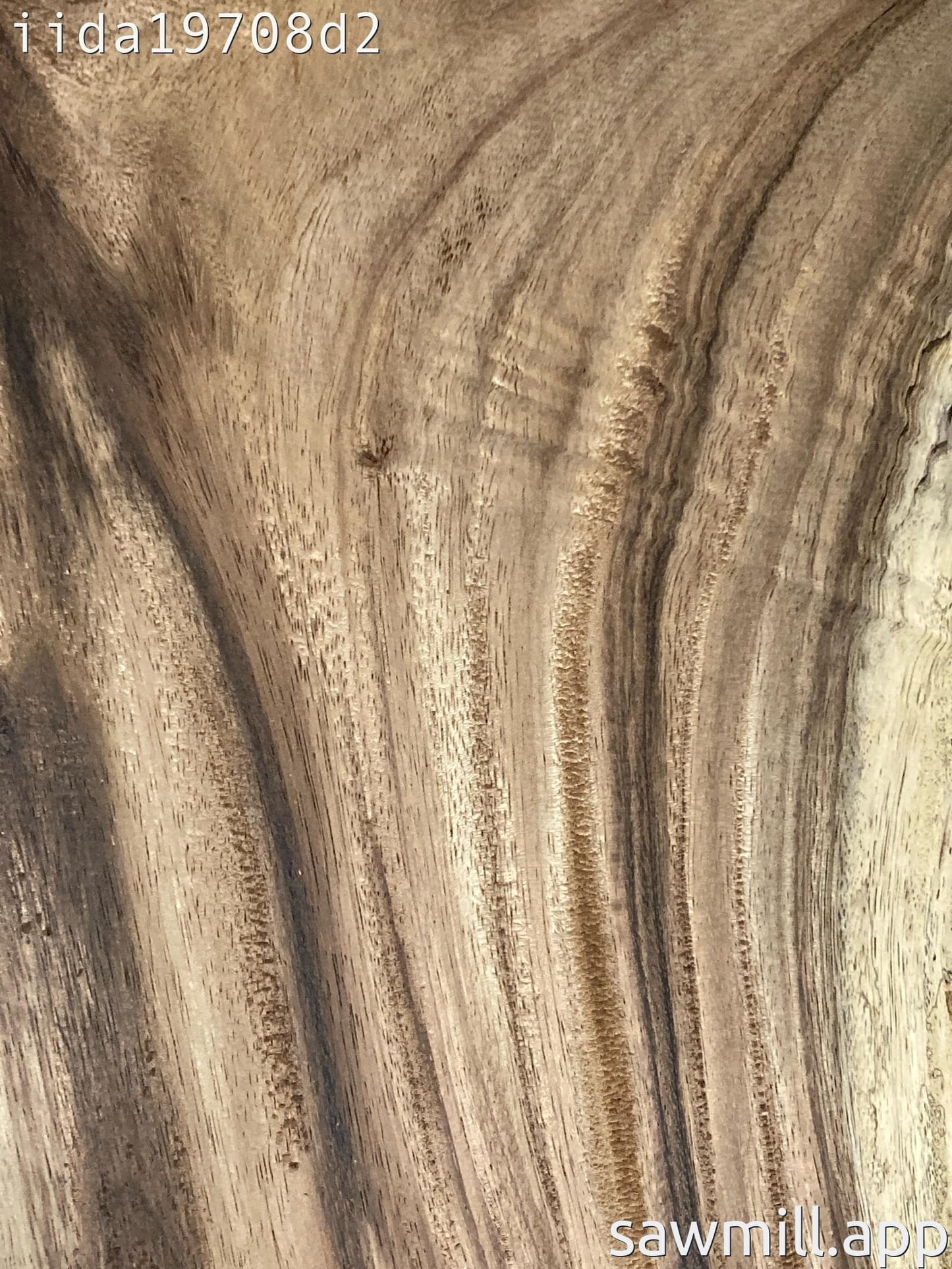 1" x 14" x 71" Monkeypod