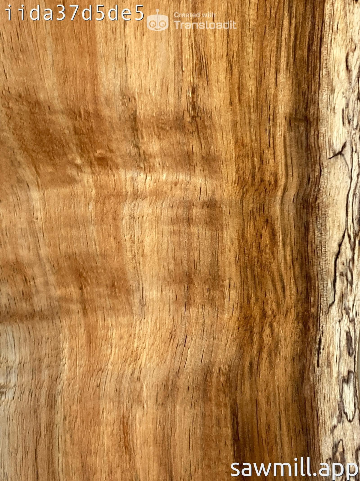 4" x 6" x 35" Koa