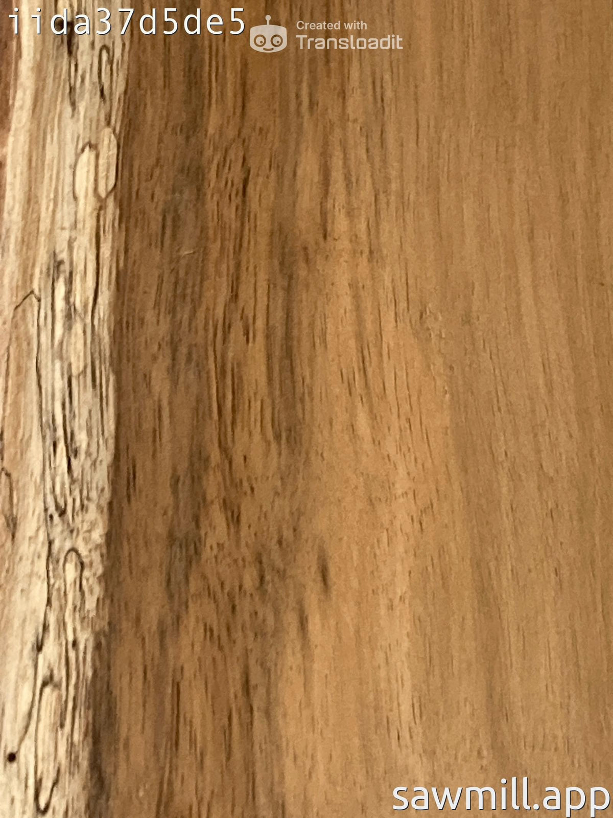4" x 6" x 35" Koa