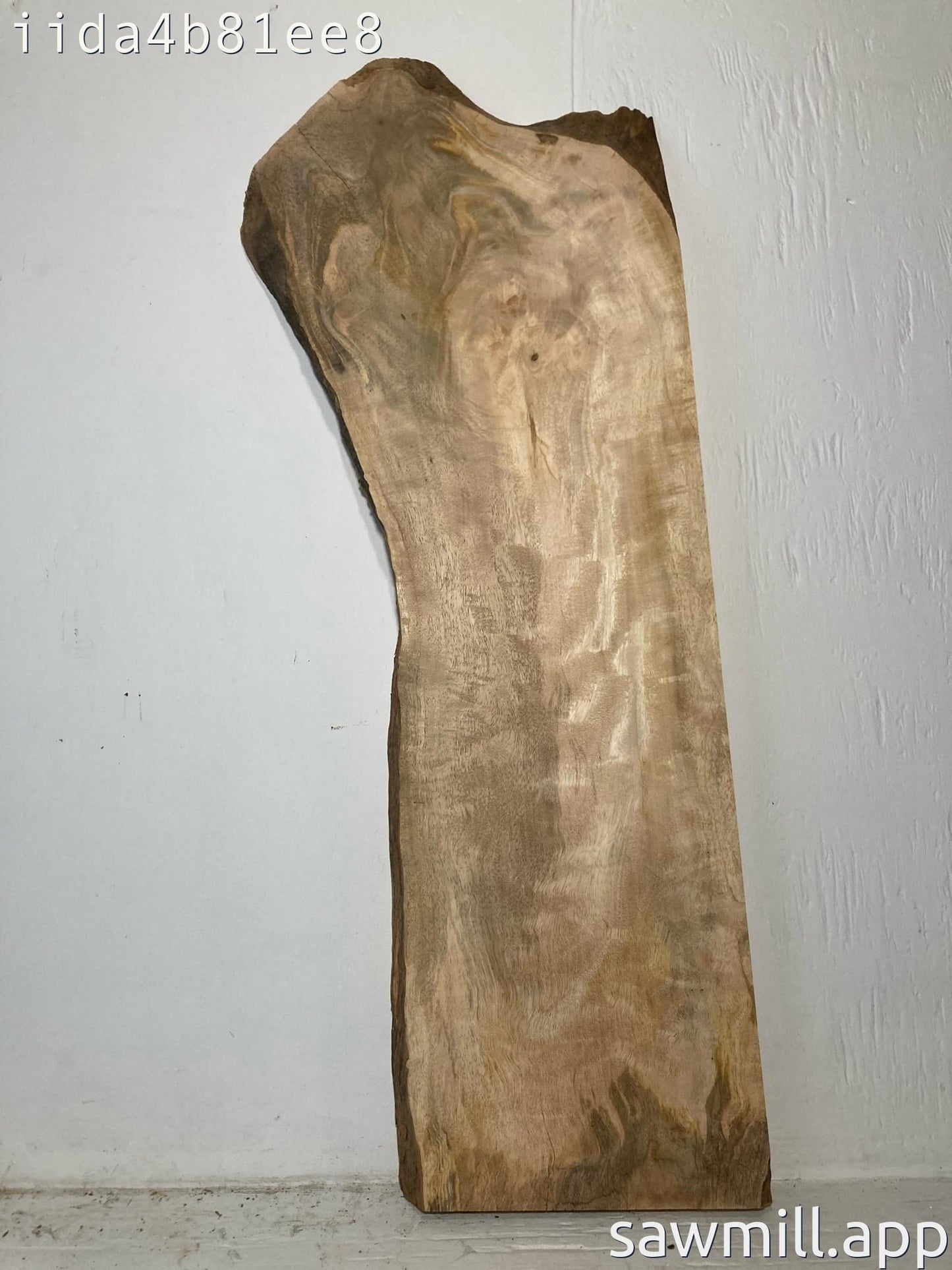 2" x 15" x 34" Mango