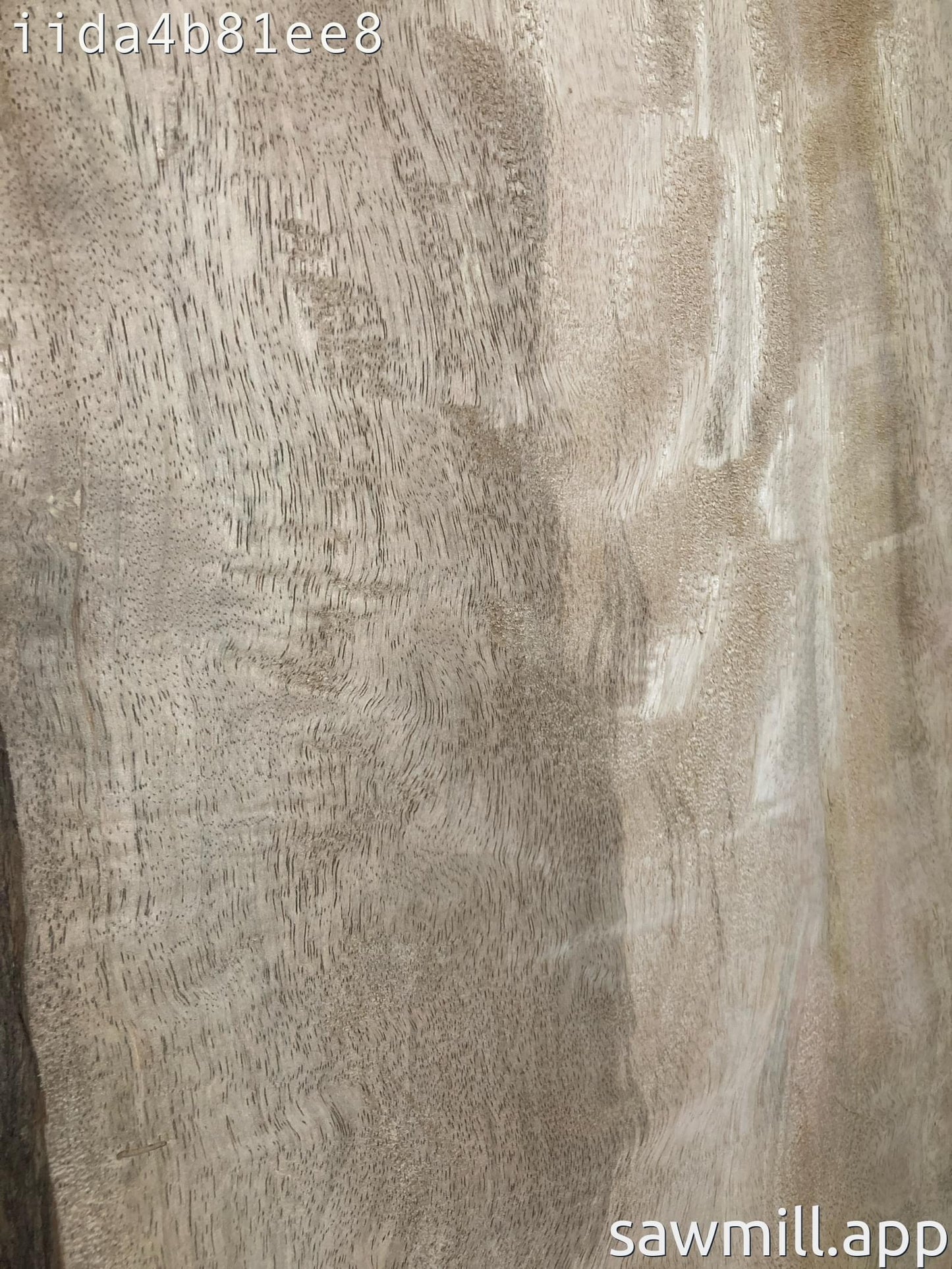 2" x 15" x 34" Mango