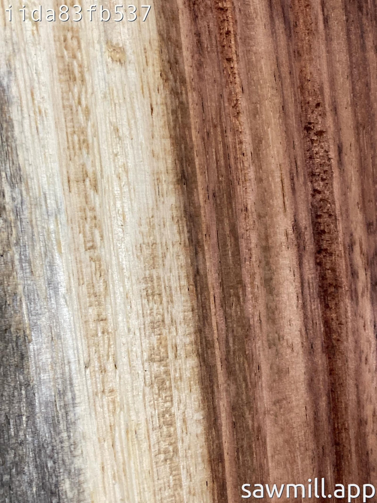 1.5" x 8" x 37" Chocolate Albizia