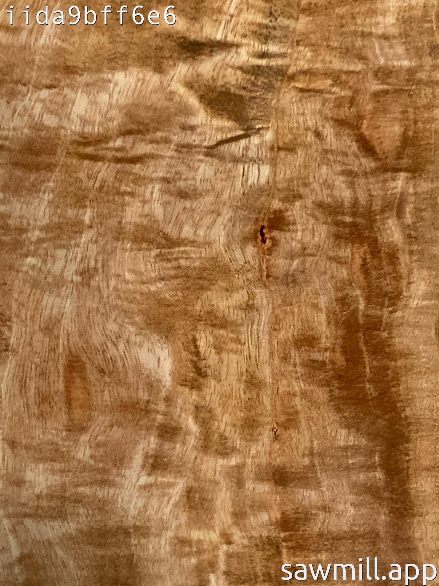 2" x 6" x 32" Mango